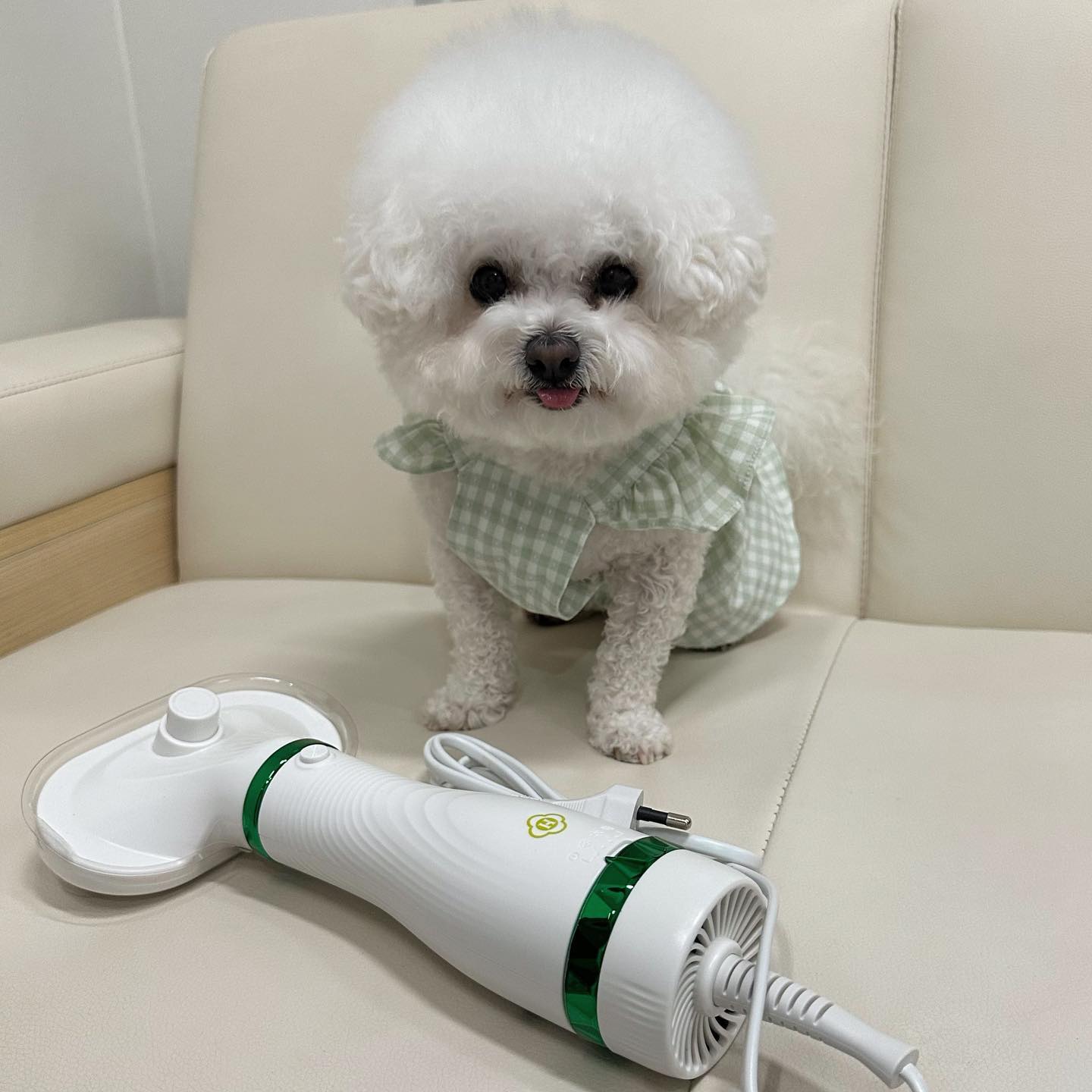 친구들 벚꽃놀이 잘다녀왔나🌸
꽃놀이후에 다들 목욕해야지><?
젤리가 완전 꿀템 가져왔쟈나!!
💚슬로우바이브 제품💚
드라이기와 브러쉬가 한번에✔️
젤리맘은 일인가구라 드라이기 잡고 빗잡고하면 하루가 다 지나가는데 요거 하나면 끝
저소음에 가벼운핸들이라 여자 혼자서도 끄떡없어✔️
산책갔다가 부분목욕할때 완전 꿀템✔️

지금 이벤트중이라 강아지티슈도 선착순으로 제공한데🤘🏻
육아는 템빨인거 알지?.? 안살이유없쟈너

slowvibe_insta 에서 구매가능하다구⭐️