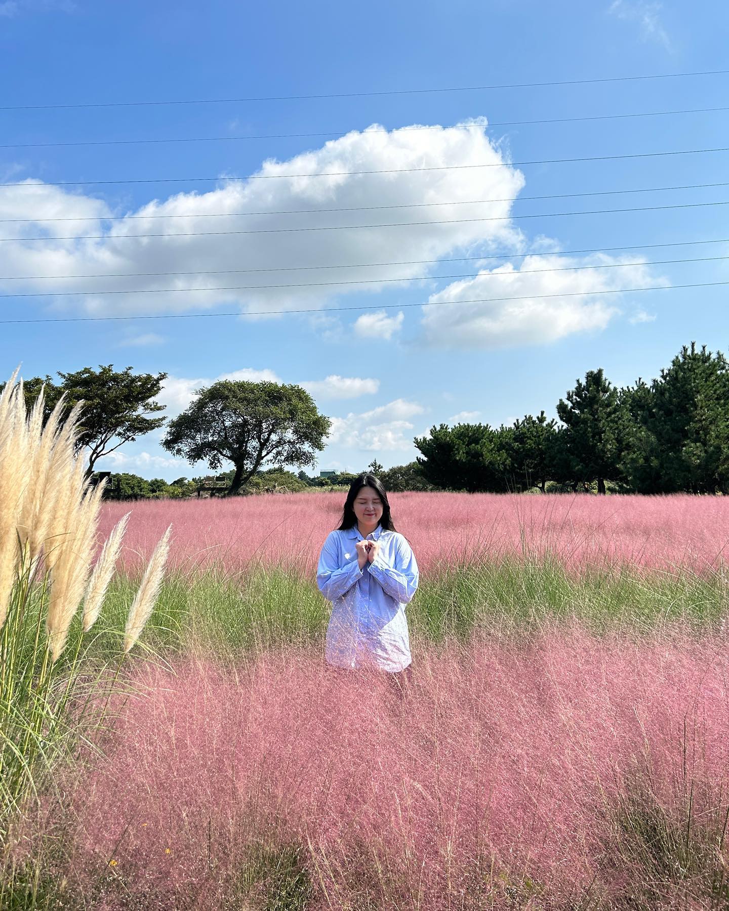 오래간만에 꽃 앞에서 기분이가 좋거둥요 💐