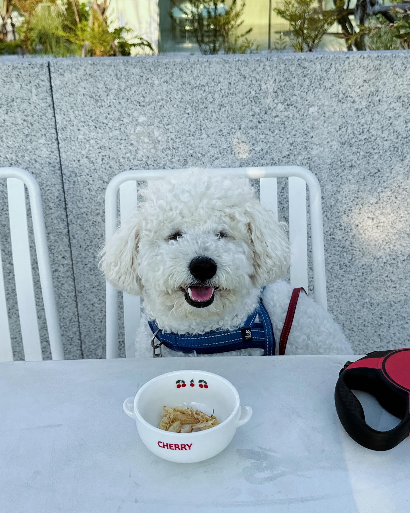 꼬질꼬질꽝꽝🤍