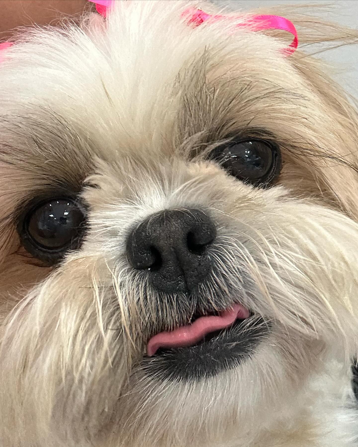 박찡코 어르빠르샷 🤭🩷🩷