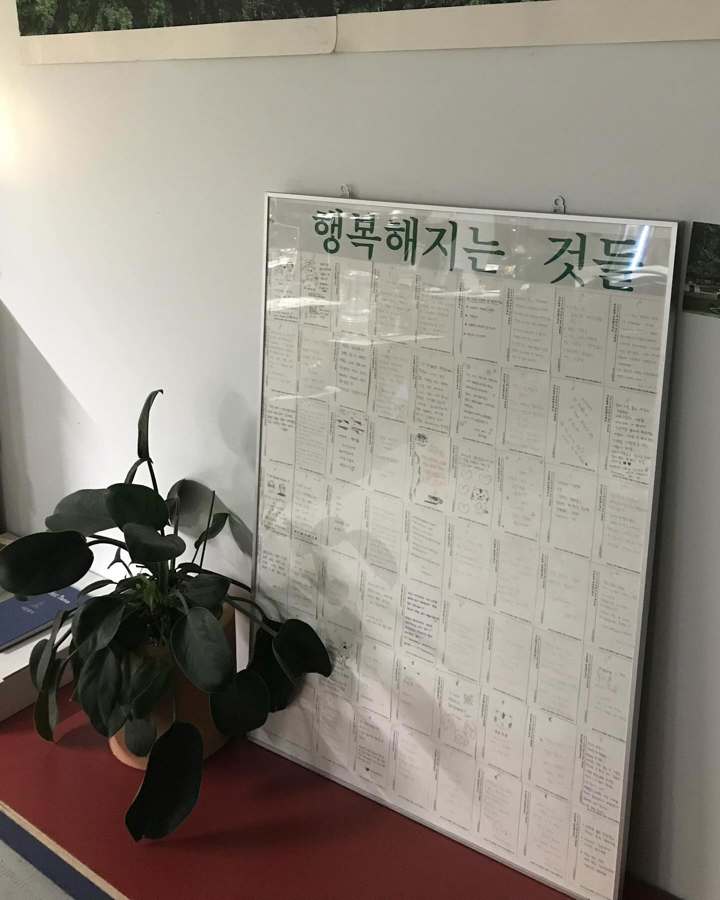 콘텐츠