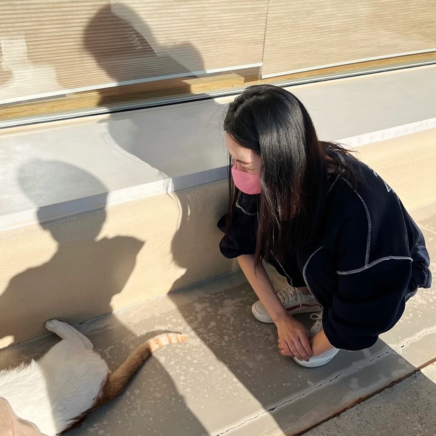 -
광합성 중인 뚱냥이한테 심쿵💔

.
.
.

#판교나무사이로