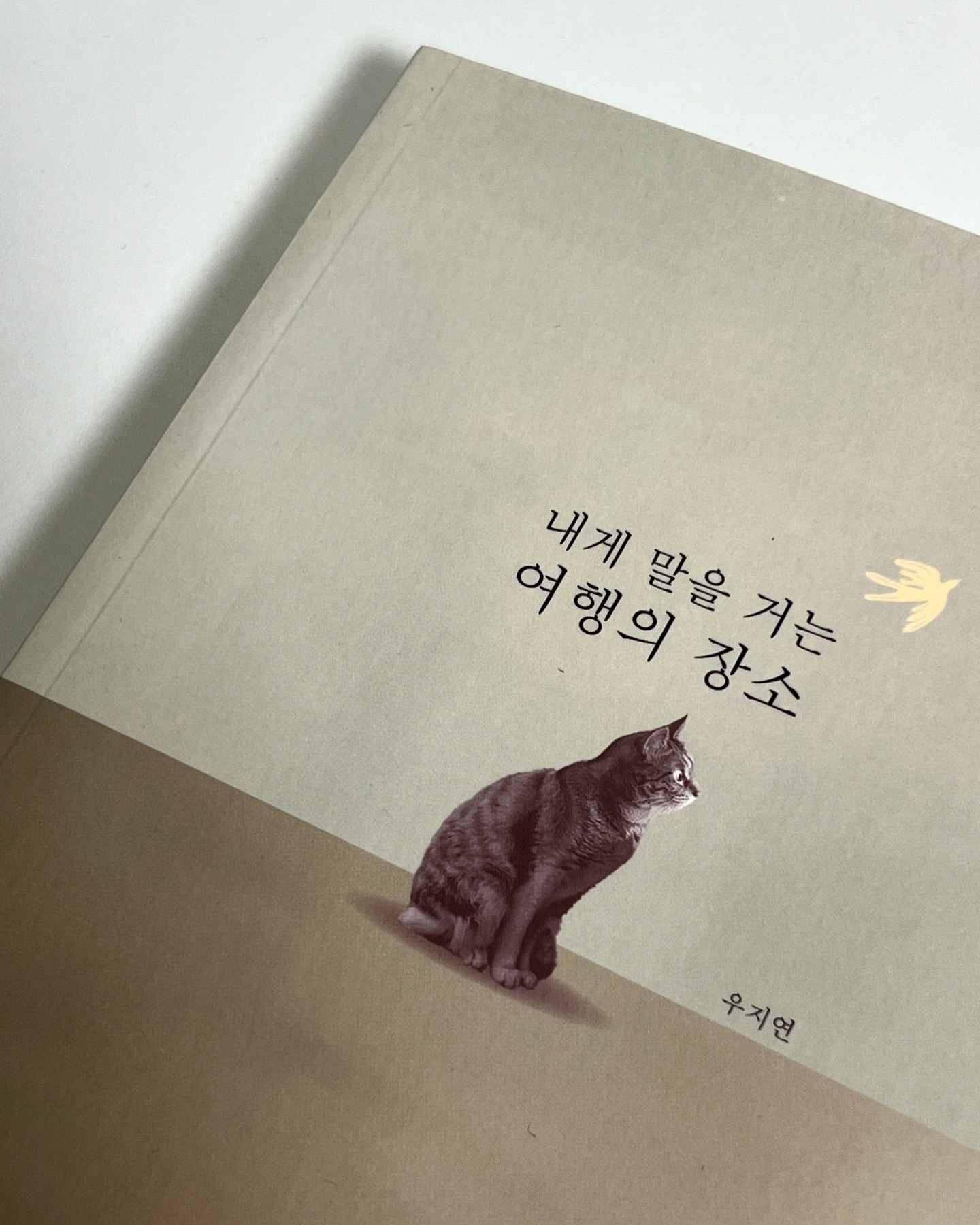 #광고 flybook_official 

감성적인 여행 사진들에 마음을 울리는 문구들까지 취향저격 🤎

#내게말을거는여행의장소 #플라이북