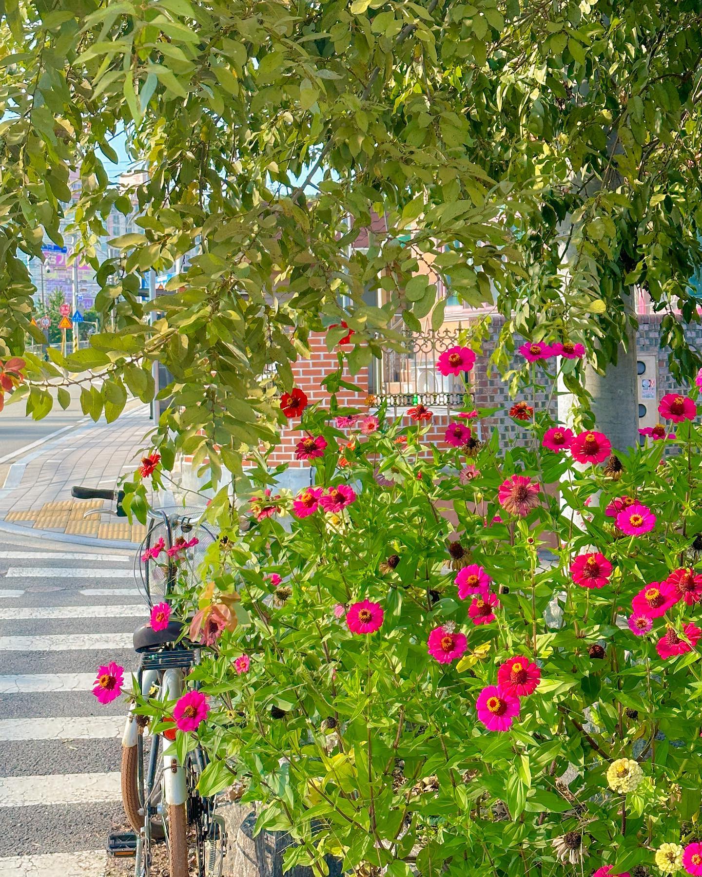 낮 마실 🍀💚🌿
계속 가을 날씨면 좋겠다 ~••🥹