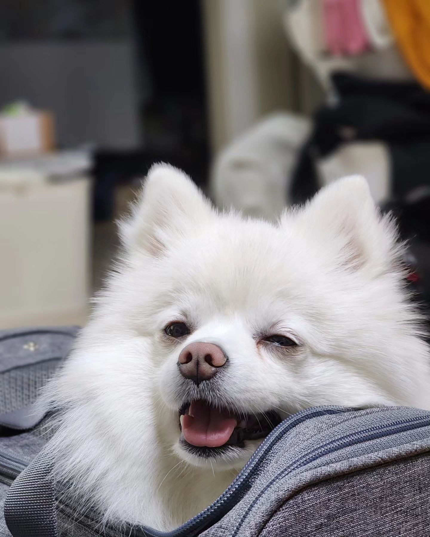 윙꾸💕