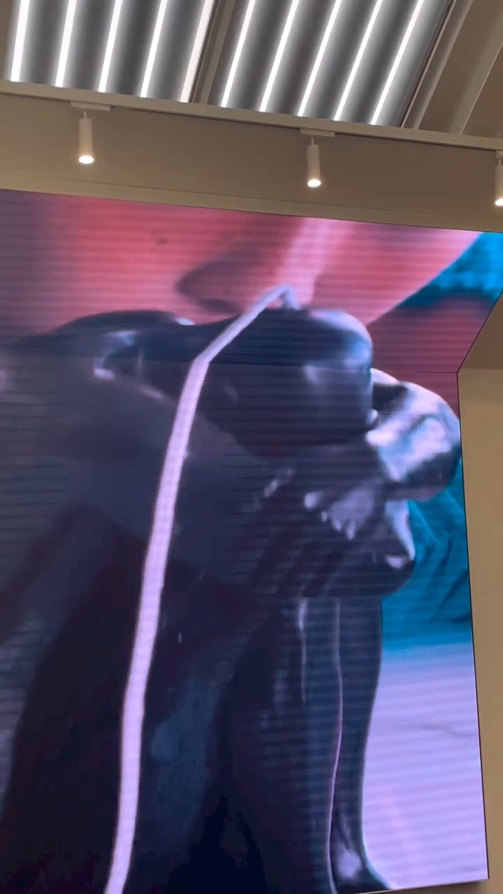 콘텐츠