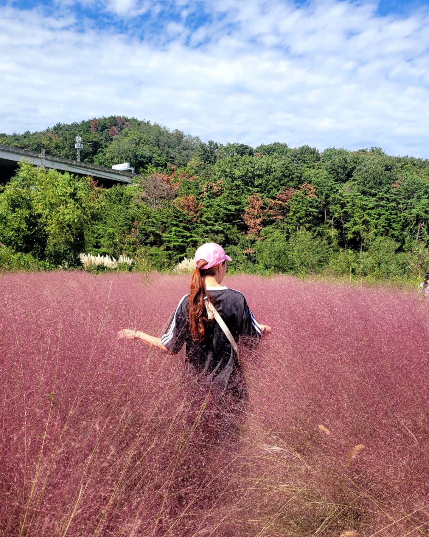 #20241002_수요일 
.
.
산 타기 좋은날씨 참을수 없지..
부산에서 나름 악산에 속한다는 달음산에 도전~
가파르고 힘든 구간이 순간순간 있었지만 정상찍기 충분했고 땀은 났지만 시원했다...
가는 길에 발견한 핑크뮬리는 태화강 부럽지 않네ㅎㅎ
.
.
#가을냄새 #달음산 #달음산자연휴양림 #핑크뮬리 #기장 #등산 #달음산정상 #휴무 #다리가ㅎㄷㅎㄷ