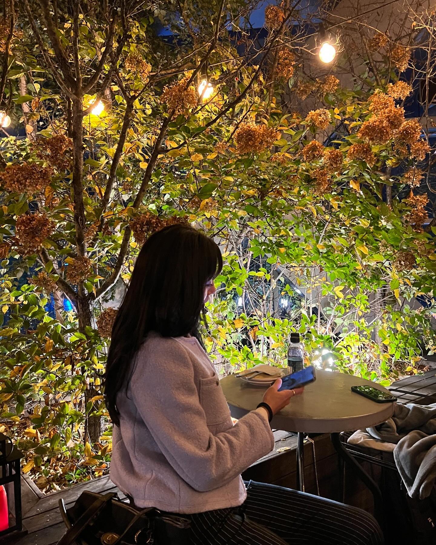 콘텐츠