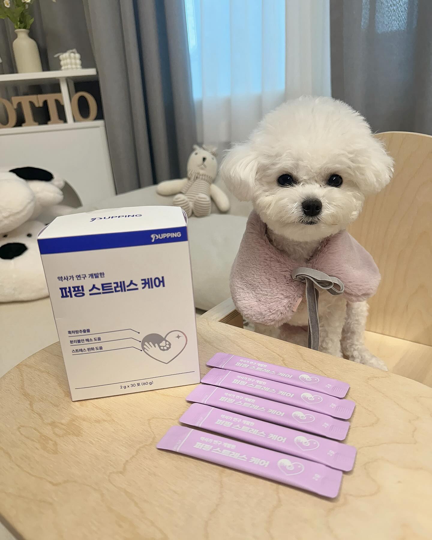 로또는 자려고하면 뽀또가 자꼬 놀자고 괴롭혀서 
스트레스 살~짝 올라오는중이였는데
퍼핑에서 스트레스케어에 좋은영양제를 보내주셨다구!!!!

퍼핑은 애견매트부문 소비자서비스만족대상 
4년연속 대상받은 업체인데.. 모르는댕댕이는 없지?😎

가루로 줘봤는데 일케 잘먹는거 시롸?!!!!!!!! ٩(ര̀ᴗര́)۶
기호성도 최고야 최고❤️

✓ 스트레스 케어
• 특허받은 흑하랑 추출물(상추)로 수면의 질 개선
• 분리불안해소에 도움
• 스트레스완화에 도움
• 숙면에 도움 
• 스트레스로 인한 피로개선
• 면역력 강화
• 트립토판+가바+테아닌+마그네슘, 심신 안정에 좋은 원료배합

-약사가 연구 개발한 제품
-전 원료 100% 공개, 유효 성분의 투명성
-휴먼 그레이드 등급의 안전한 성분
-기호성이 좋고 거부감 없는 맛과 향
-실온보관 가능, 위생적인 포 형태
-믿을 수 있는 제약사에서 제조한 안전한 제조 시설
-휴지기없이 꾸준한 급여 가능한제품

분리불안해소에도 도움주고, 
숙면에 도움주고 면역력강화에도 도움주는 
퍼핑영양제 구경하러 가보쟈구!!!!💜

🎁 _pupping 

#강아지영양제 #고양이영양제 #퍼핑 #퍼핑영양제 
 #강아지영양제추천 #분리불안 #강아지분리불안 #강아지건강 #육묘템