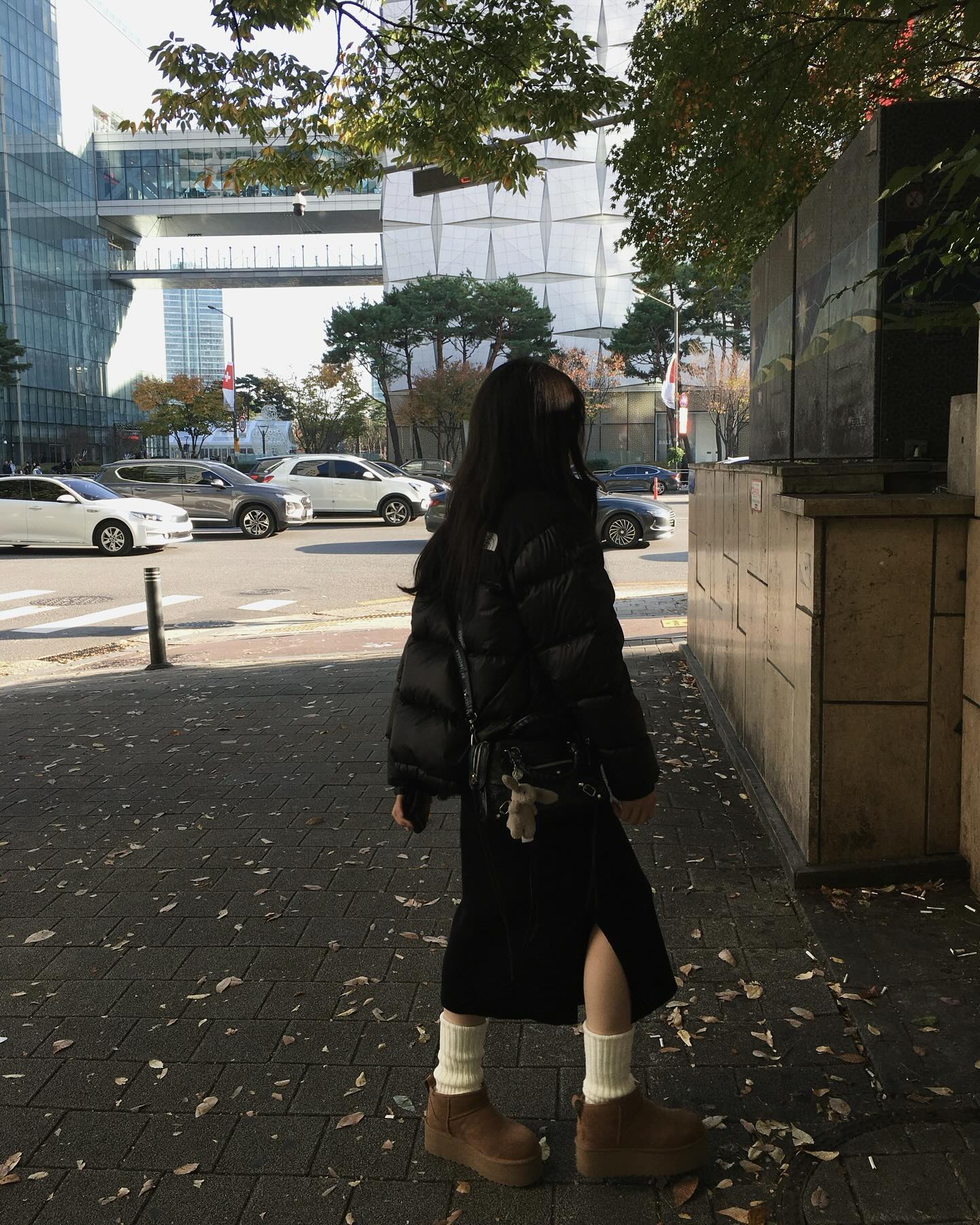 🍂
