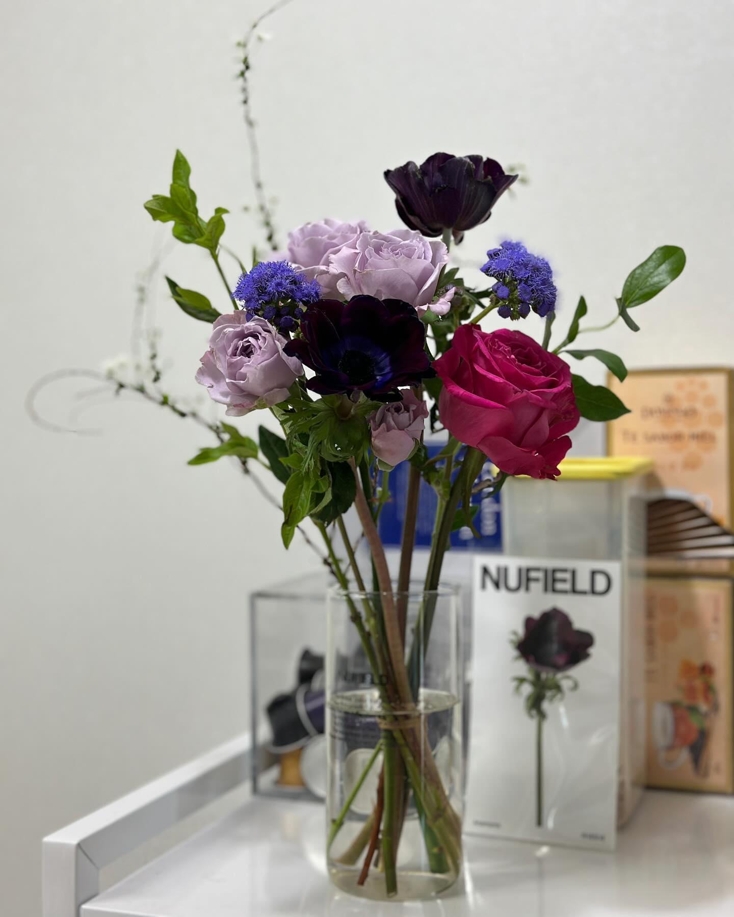 nufield_official #anemone