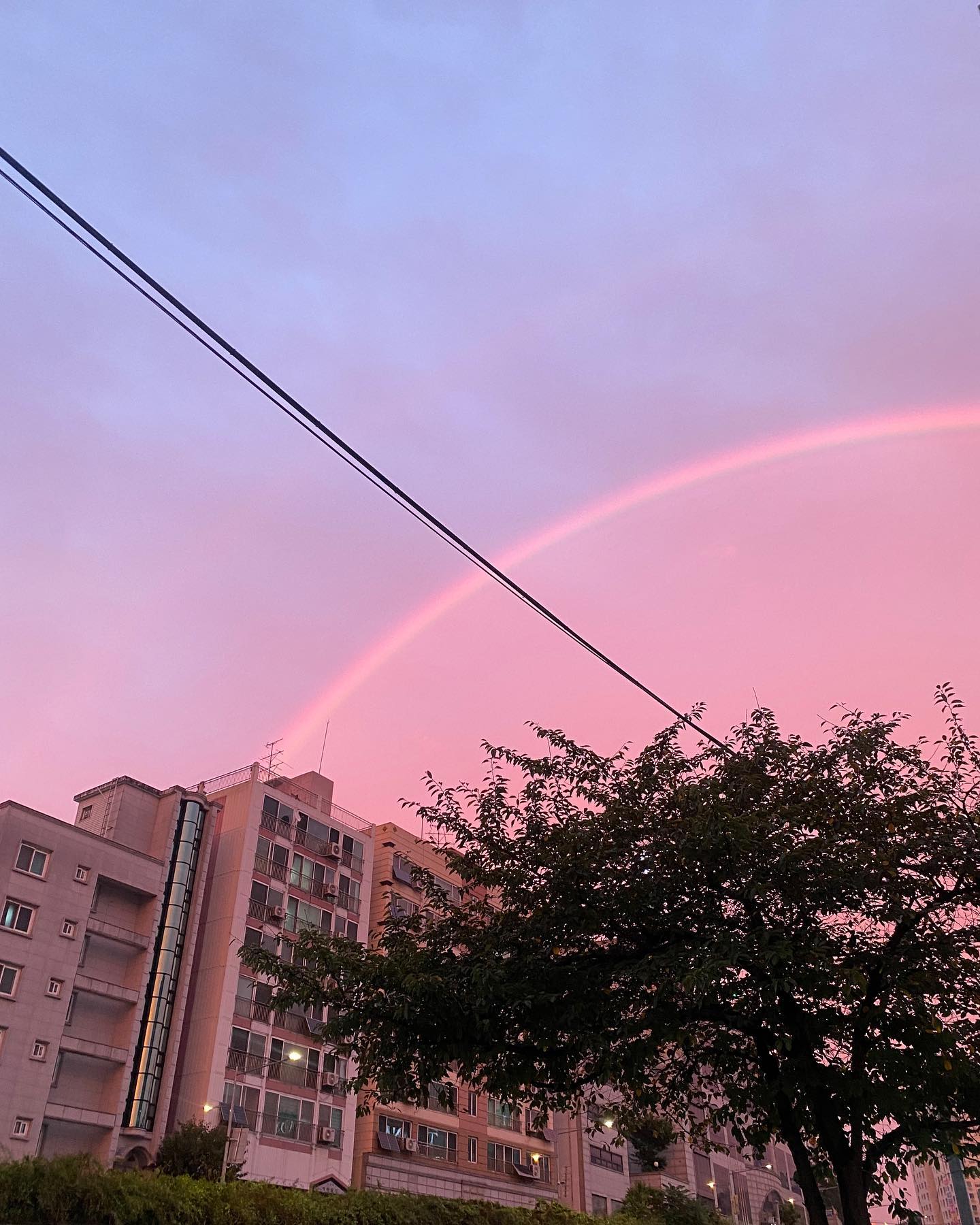 우와 저 무지개 봤어요🦄🌈