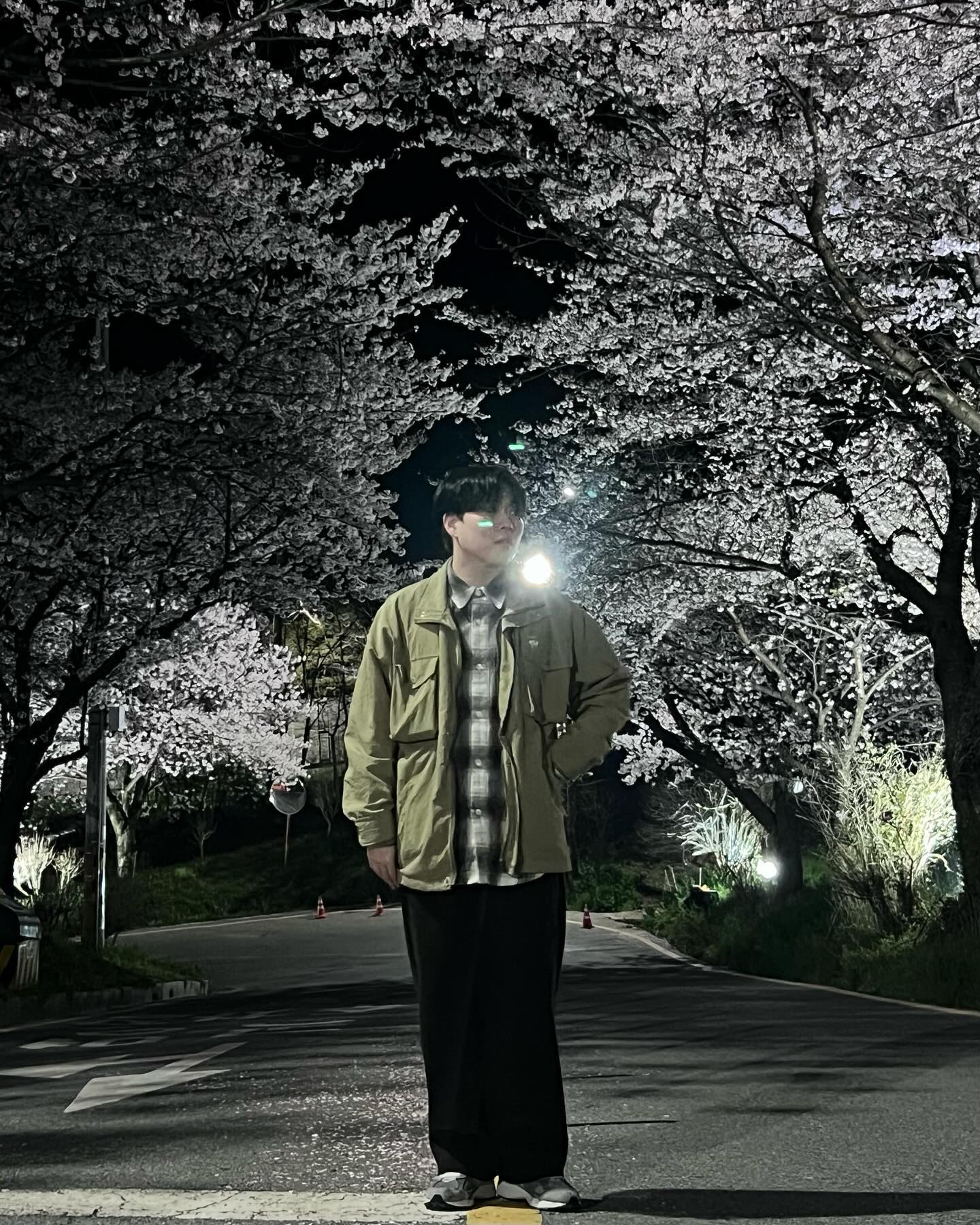 벚꽃구경 다녀온 착