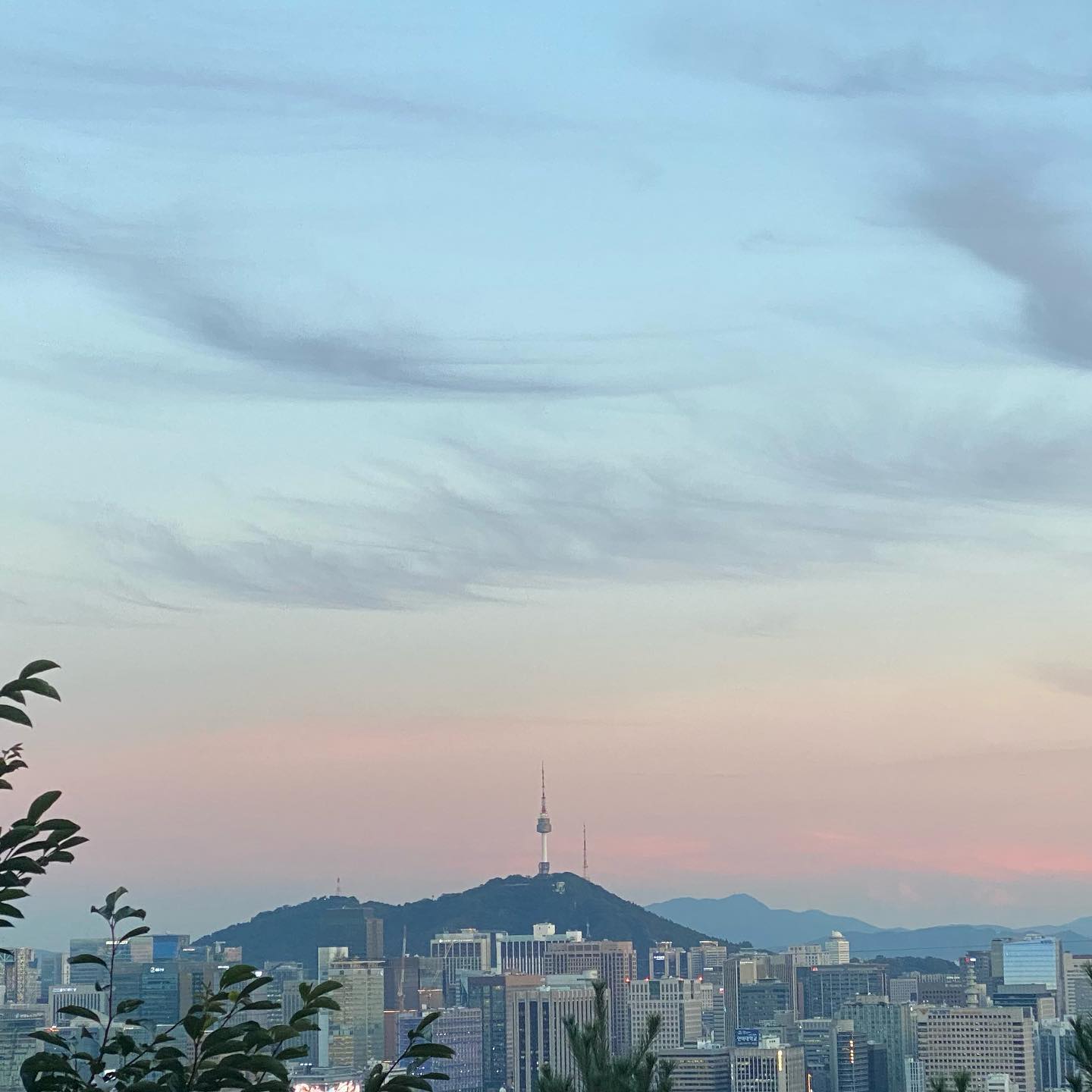 아무튼 여름