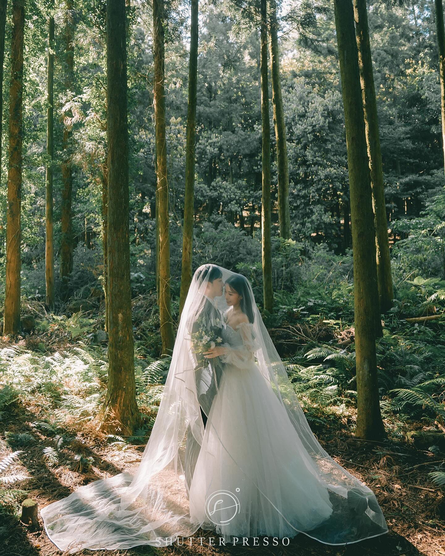 🌲고요했던 숲속🌲

.
.
.

#셔터프레소#셔터프레소_제주#웨딩스냅#제주스냅