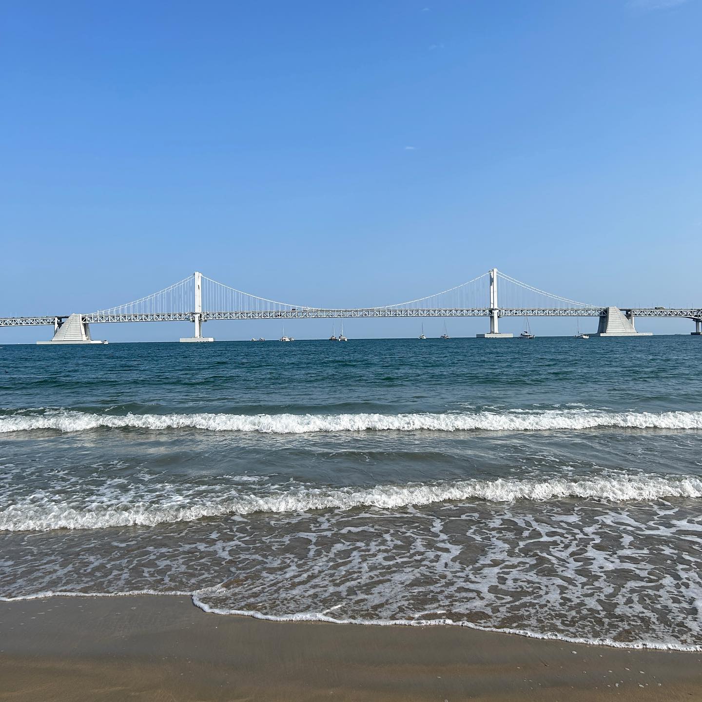 콘텐츠