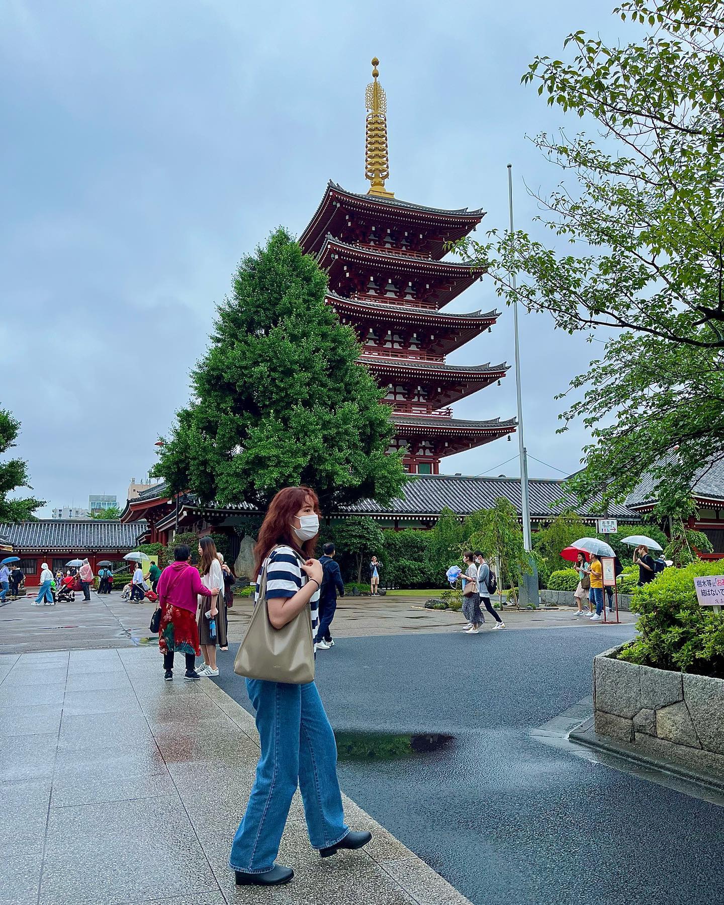 아사쿠사 신사⛩️

가서 소원빌기

시바견카페는 심장고장;

#일본 #여행 #아사쿠사신사 #센소지
#마메시바카페