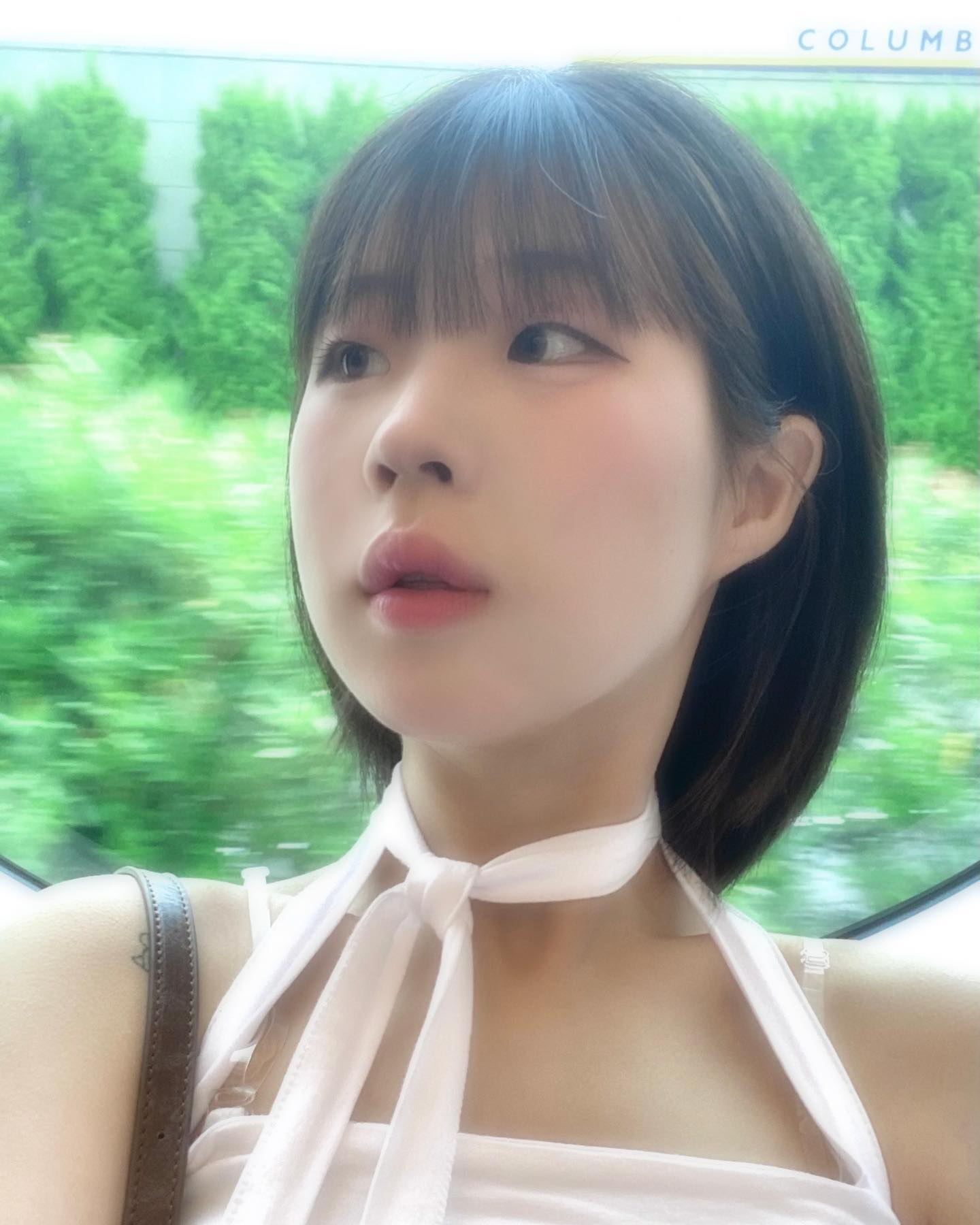 모음집
