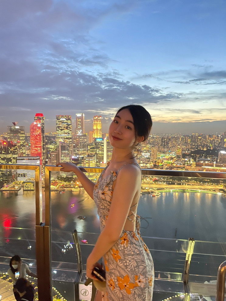 죽다 살아온 [싱가포르 여행 3] :: 항공기 사고, 마리나베이, 가든스바이더베이,칠리크랩,카지노