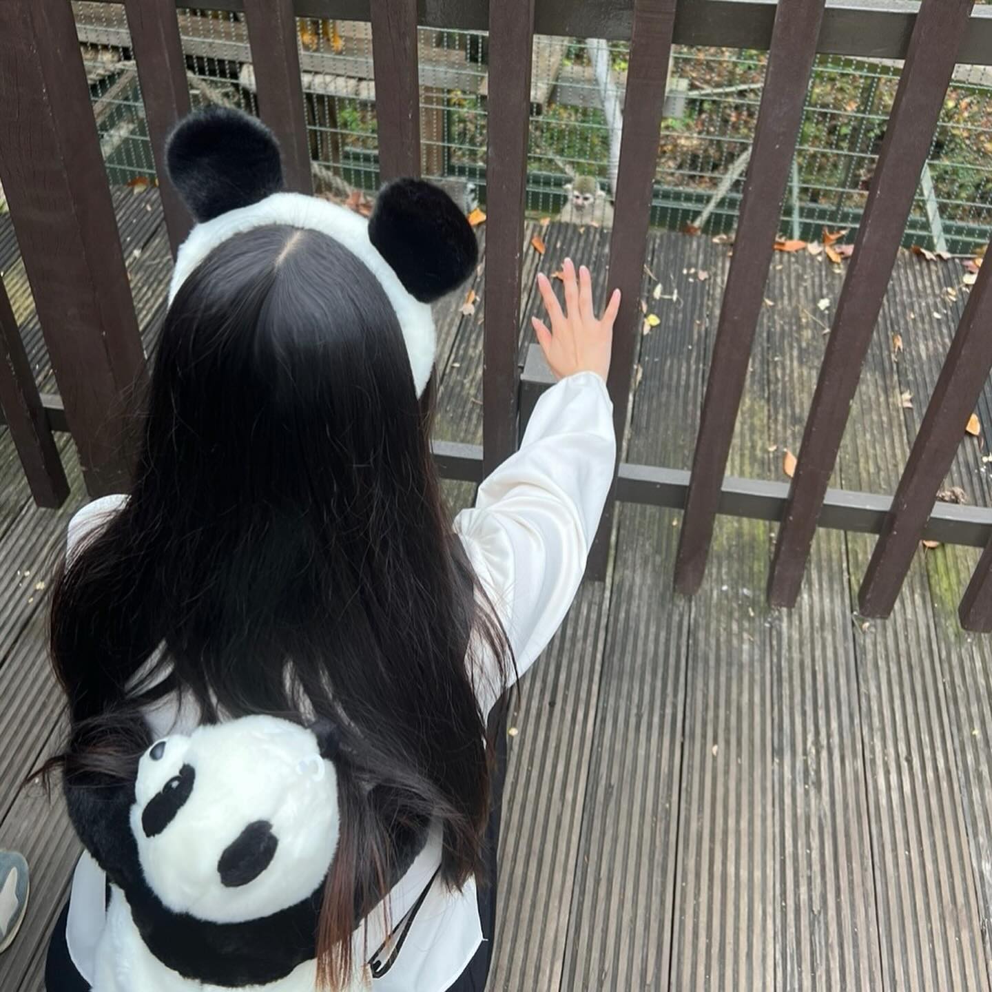 바오가족 1일 체험🐼🐼