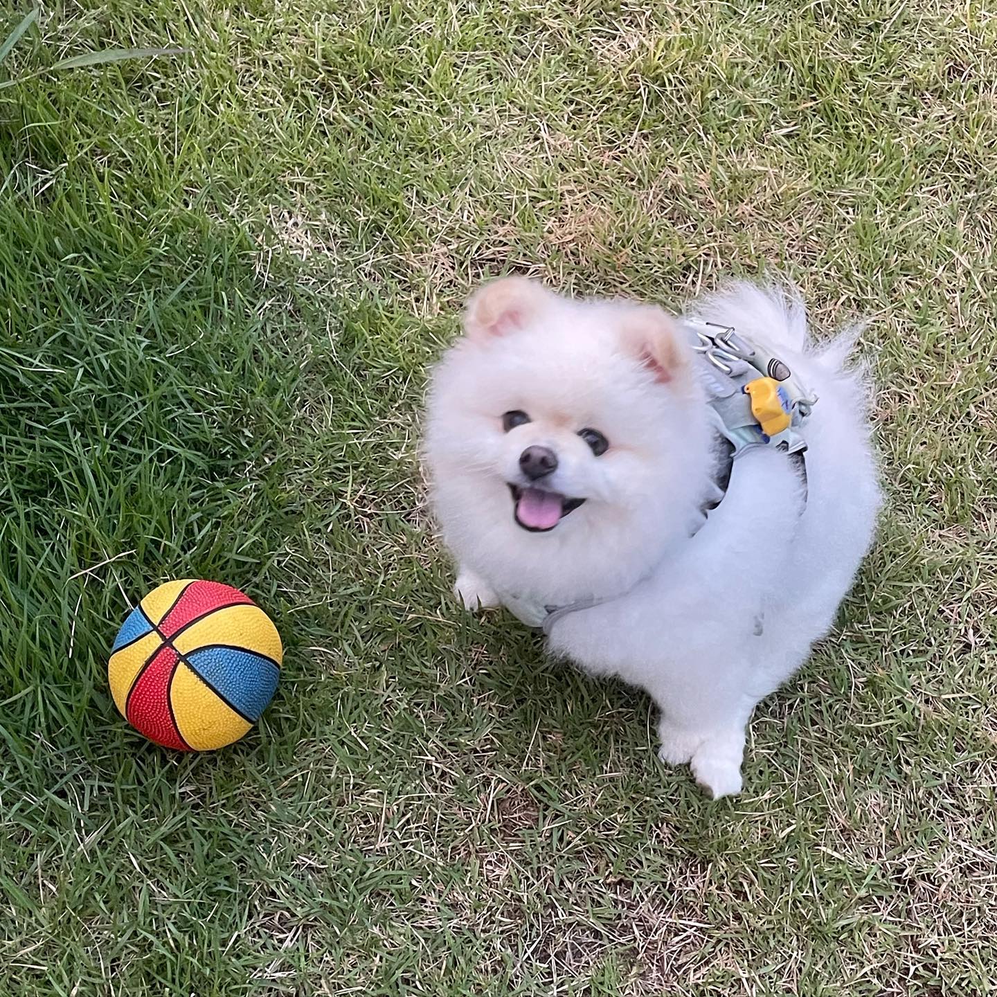 콘텐츠