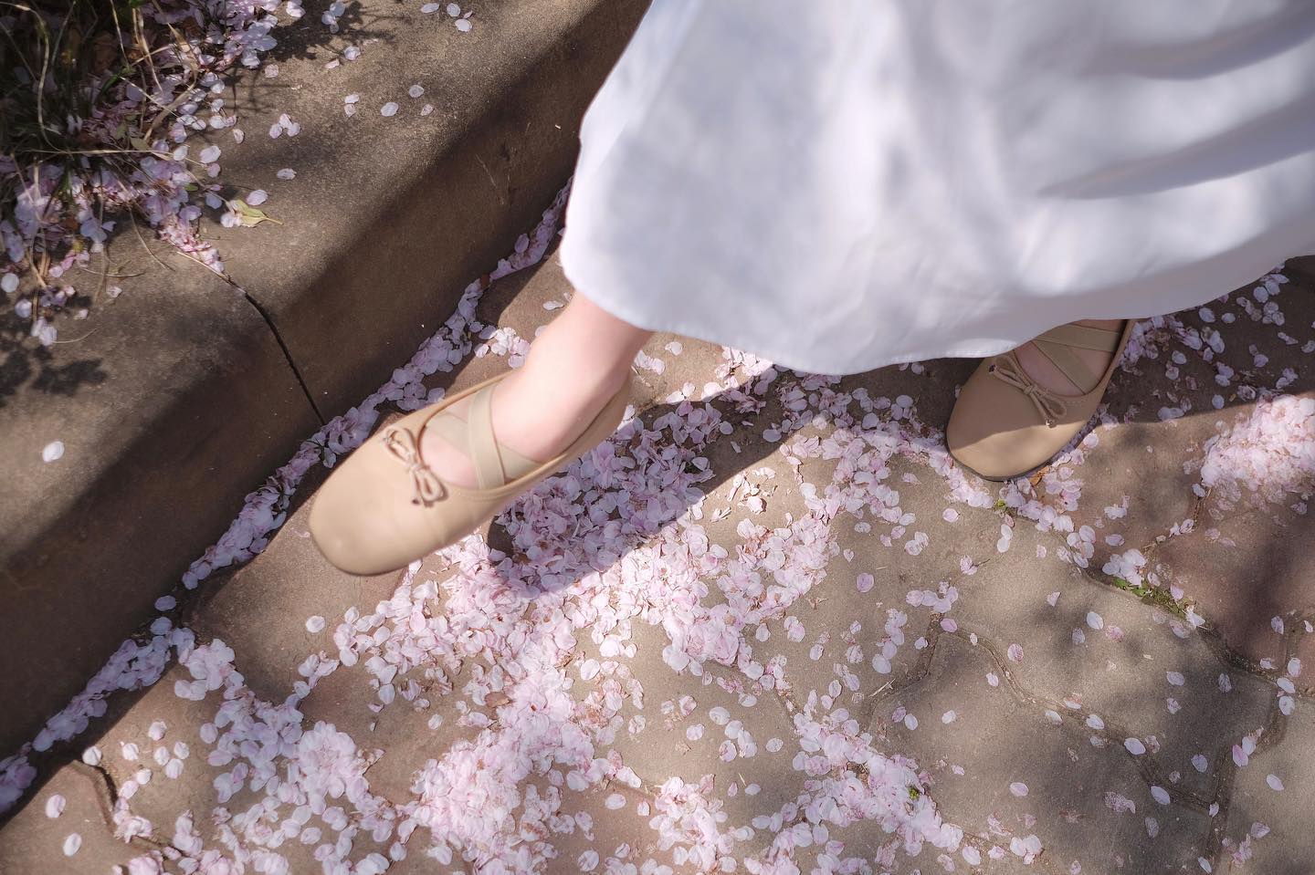 오랜만에 꺼내보는 작년 벚꽃 사진🌸
이제 한 달 뒤면 벚꽃세상* ੈ♡‧₊˚
