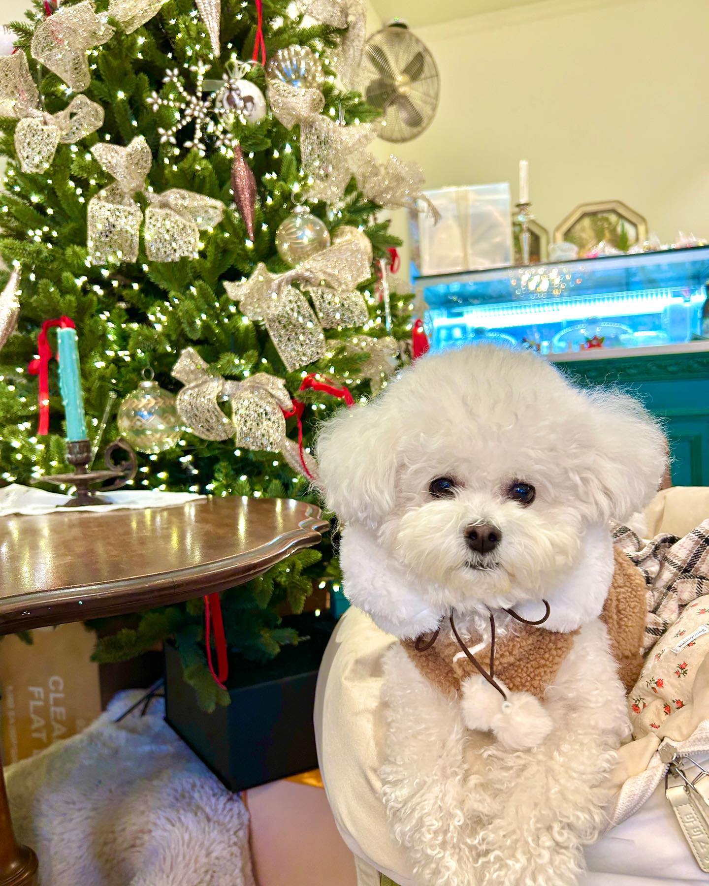 🎄

하얀 곰도리랑 트리 중에 어딜봐야할지
눈이 바쁘다 바빠👀🤎
오늘 알았는데 미로는
트리는 좋아하는데 회전목마 오르골 좀 무서워 하는 편🎠