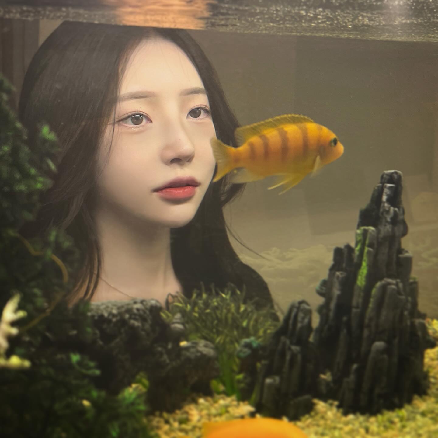 세종시에 인테리어 너무 예쁘고 맛있는 떡카페 발견해부려따..✨ 완전 큰 어항도 있어서 여기서 물멍하기두 좋고 인생샷도 완전 많이 건지기 가능✨🤍떡이랑 콜라보된 이색적인 메뉴들로 가득하고 인테리어나 분위기도 탈세종급..✨ 세종인들 얼른 가보세요☺️

.

.

.

#모시울#세종시카페#조치원카페#세종시카페추천#오송카페#고복저수지카페#떡카페#조치원역카페#오색가래떡#세종조치원카페#세종카페#조치원카페#오색가래떡#분위기카페#세종조치원역카페