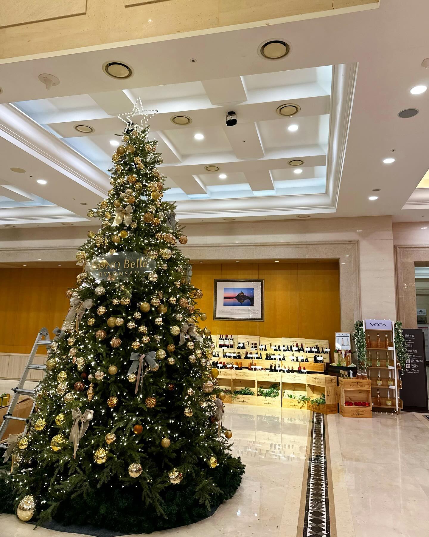 우리는 내년부터 트리 설치하자 ♥️♥️♥️♥️
귀찮아서 그런 ㄱㅓ ㅈㅓㄹㄷㅐㄹㅗ ㅇㅏㄴㅣㅁ🎅🏻🧑🏻‍🎄🎄