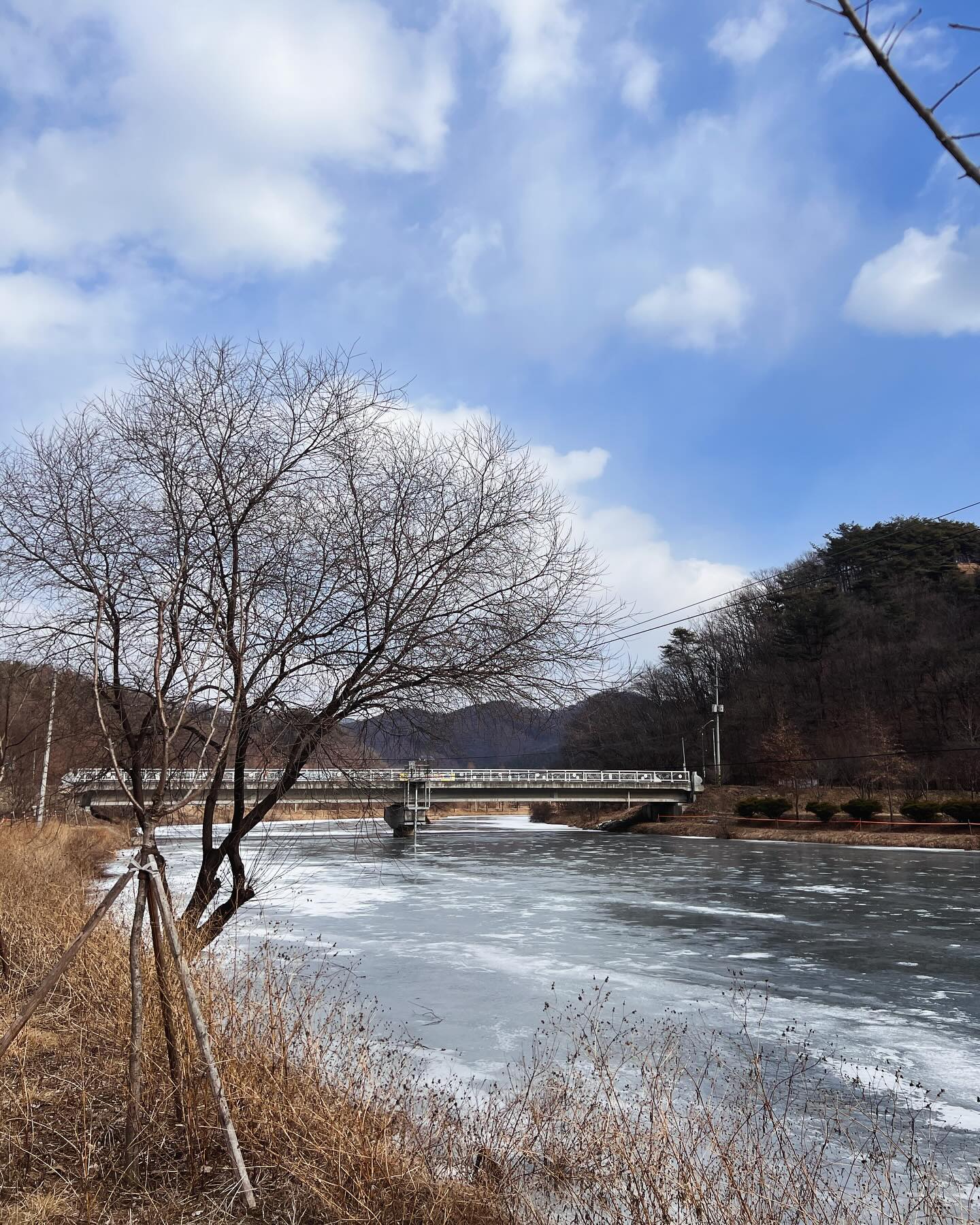 청명한 겨울하늘.
사장님도 안계신 캠핑장인데, 칼바람이 퇴실압박.. 눼눼 갑니다 가요.

#겨울캠핑 #음성캠핑장