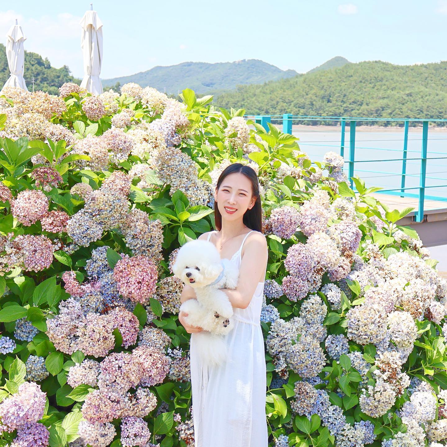 아톰이랑 남해 여행🤍💚
.
아톰이 체력이 너모 엄써서... 유럽 갈 거 걱정이다🫠
정 힘들어 하면 둘이 하루 걸러 하루 숙소에서...쉬어야지
.
.
.
.
.
.
.
#강아지랑여행 #withdog #강아지스냅 #비숑프리제 #bichonfrise #비숑 #남해여행 #로스티아 #수국명소 #수국축제 #다랭이마을 #좋아요반사 #좋반 #lfl #ootd #일반인스냅 #캐논미러리스 #사진계정환영