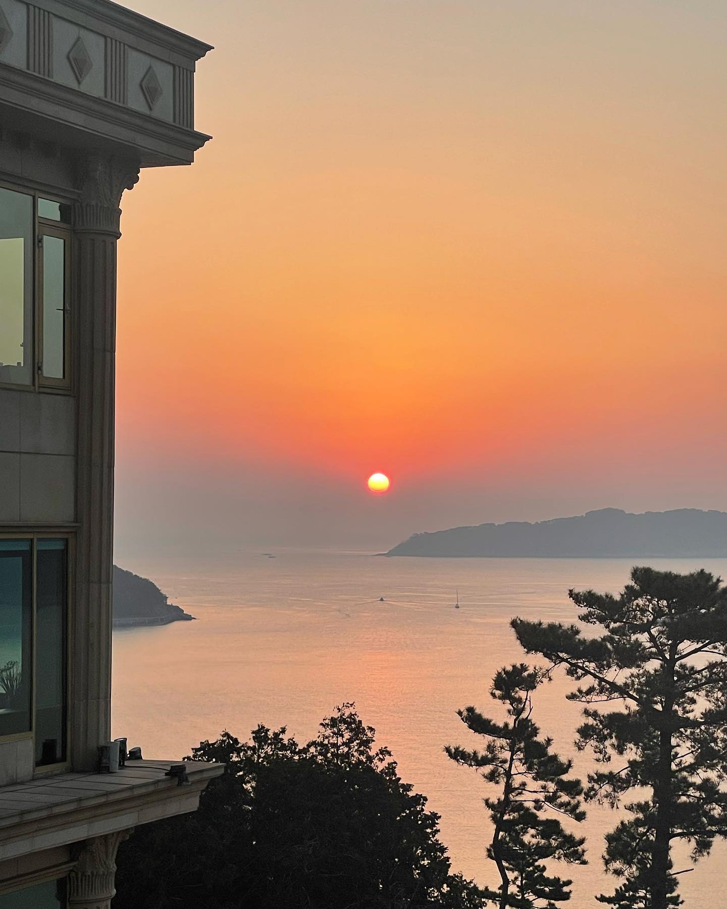 집사님들♥️
2023년 새해가 밝았어요~!
속상하고 힘들었던 기억들은 모두 2022년에 놓고 오시고,
즐겁고 행복한 기억들로만 꽉꽉 채워질 2023년이 되시길 바랄게요🙏🏻
소망하시는 일 모~~~~두 다 이뤄지는 마법같은 한 해가 되길♥️

이번 년도에도 콩꼬마 많이 사랑해주세요♥️ 감사합니다