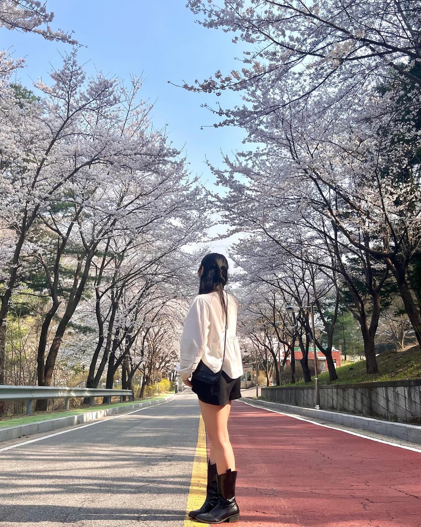 주말 벚꽃구경1️⃣
죽전 가는길에 갑자기 방향을 틀어서 광주로!
주말이라서 사람도 차도 하나도 없어서 오빠랑 
사진 한가득 찍었다! 
그리구 단국대도 가고 과기대도 가고 왕십리도 갔지..ㅎㅎ