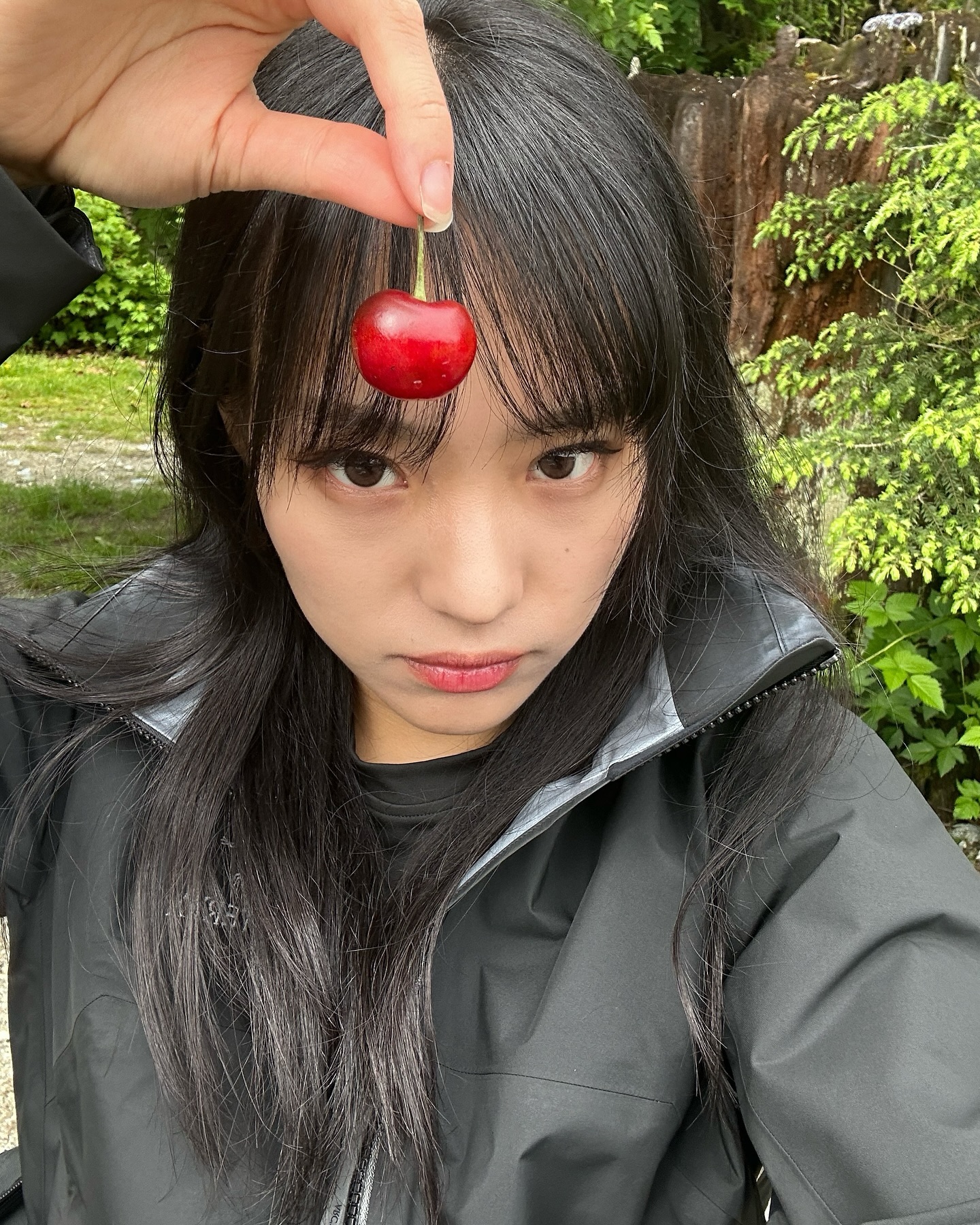 I LUV CHERRY 🍒

#cherry #vancouver #canada #buntzenlake #hiking #bc #캐나다 #밴쿠버