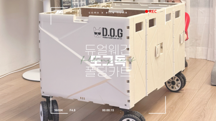 접이식 웨건, 도그독 듀얼 폴딩카트 6개월 사용 후기 (+장단점)