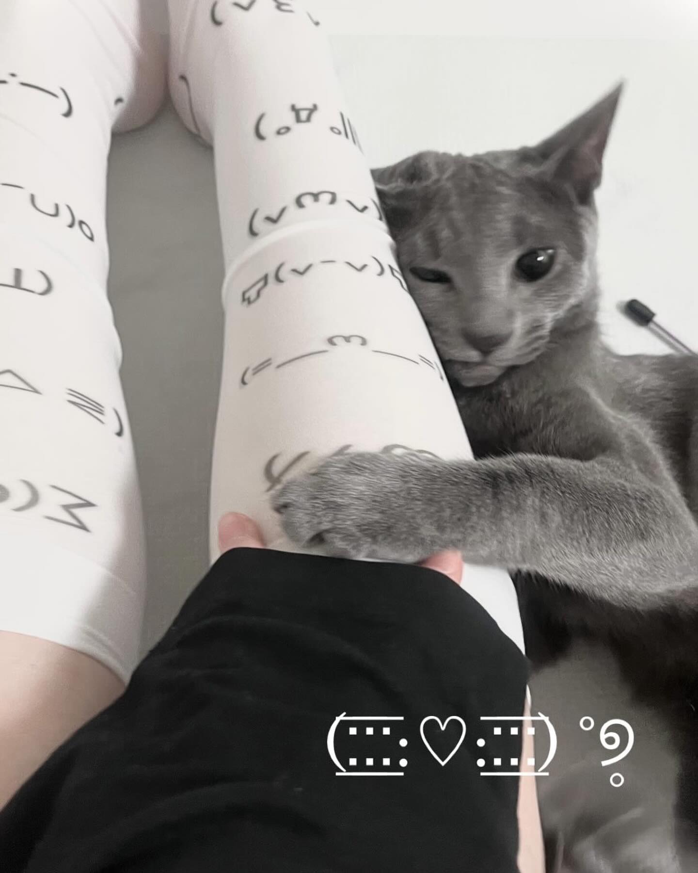 ૮₍⇀‸↼‶₎ა 
 ⊹ ⋆ﾟ꒰ఎ ♥︎ ໒꒱ ⋆ﾟ⊹