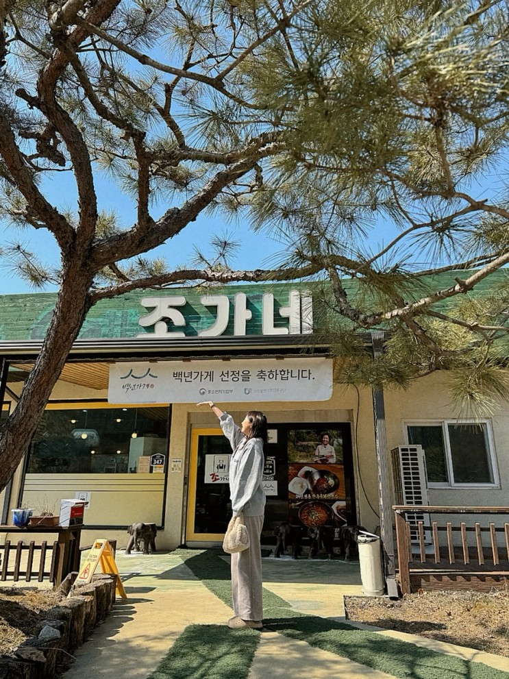 강원도 횡성 맛집 추천, 백년가게로 선정된 한우 1++ 한우육회막국수 맛집, 횡성 조가네