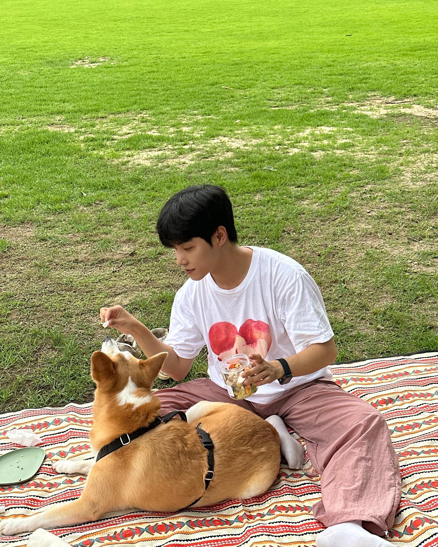 #광고 친환경 무항생제 재료로 만든 영양가 높은 매일매일펫푸드 수제 간식! 페트한테 선물 해줄 수 있는 특별한 메뉴들로 구성되어있어서 같이 피크닉가서 먹었어요 😋 개별 표장되어있어서 급여하기도 좋고 보관 하기도 너무 좋아요! 피트닉세트에는 오골계파이랑 오골계스틱도 포함되어있는데 오골계파이 안에는 치즈도 들어있고 스틱은 말랑말랑 촉촉한데 개별 포장까지 되어있어서 좋았어요 또 평소에 야채를 좋아하지 않는 페트도 맛있게 잘 먹어서 좋네요 추천드립니다 ◡̈ 
#매일매일펫푸드 #강아지수제간식 #강아지수제간식추천 #강아지생일 #반려견수제간식 #강아지케이크 #애견동반여행 #애견동반캠핑 maeilxmaeil