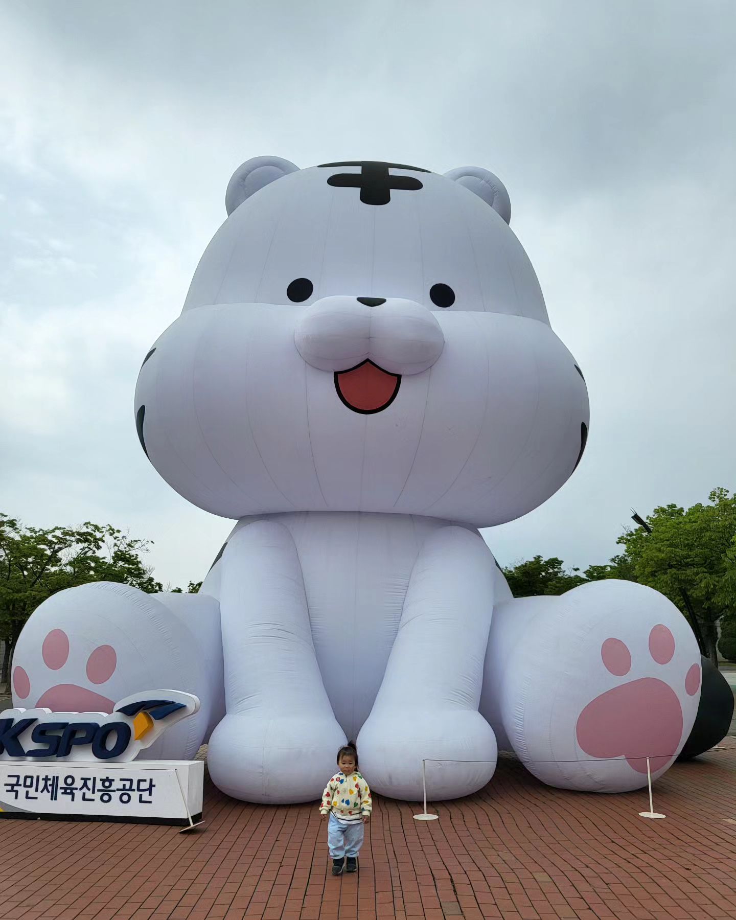 #백호돌이 
올림픽공원 놀러왔다
사진찍기❤️
kspo.tiger

#둘다귀여워 #스포츠주간 #백호돌이 #당스보