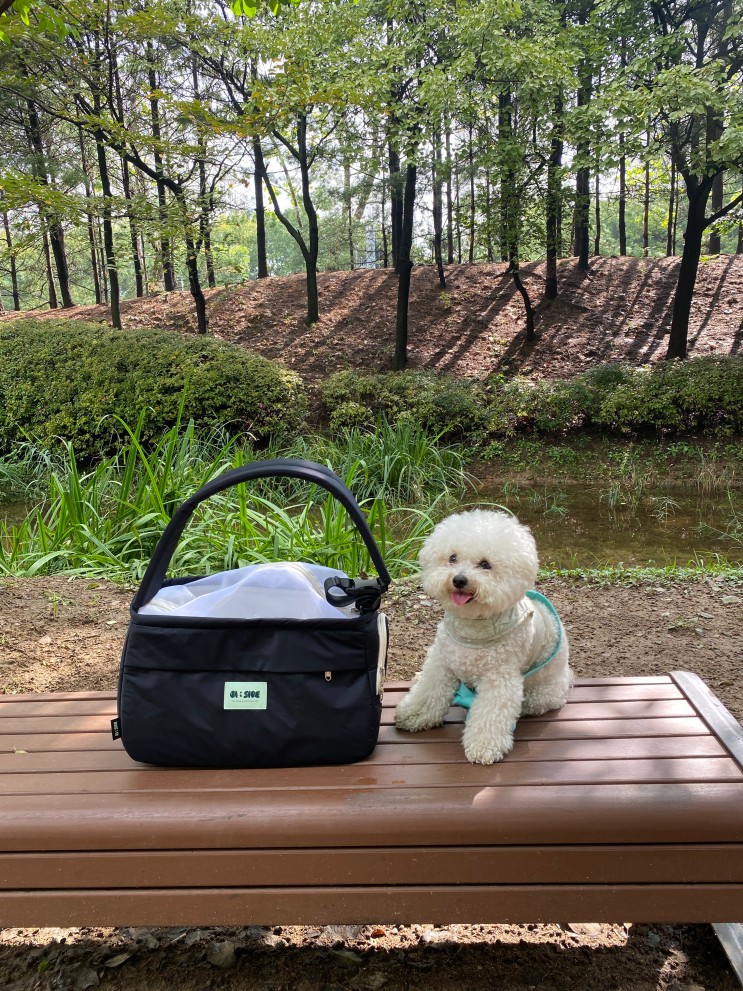 오아이사이드 탄탄한슬링백 직접 써봄