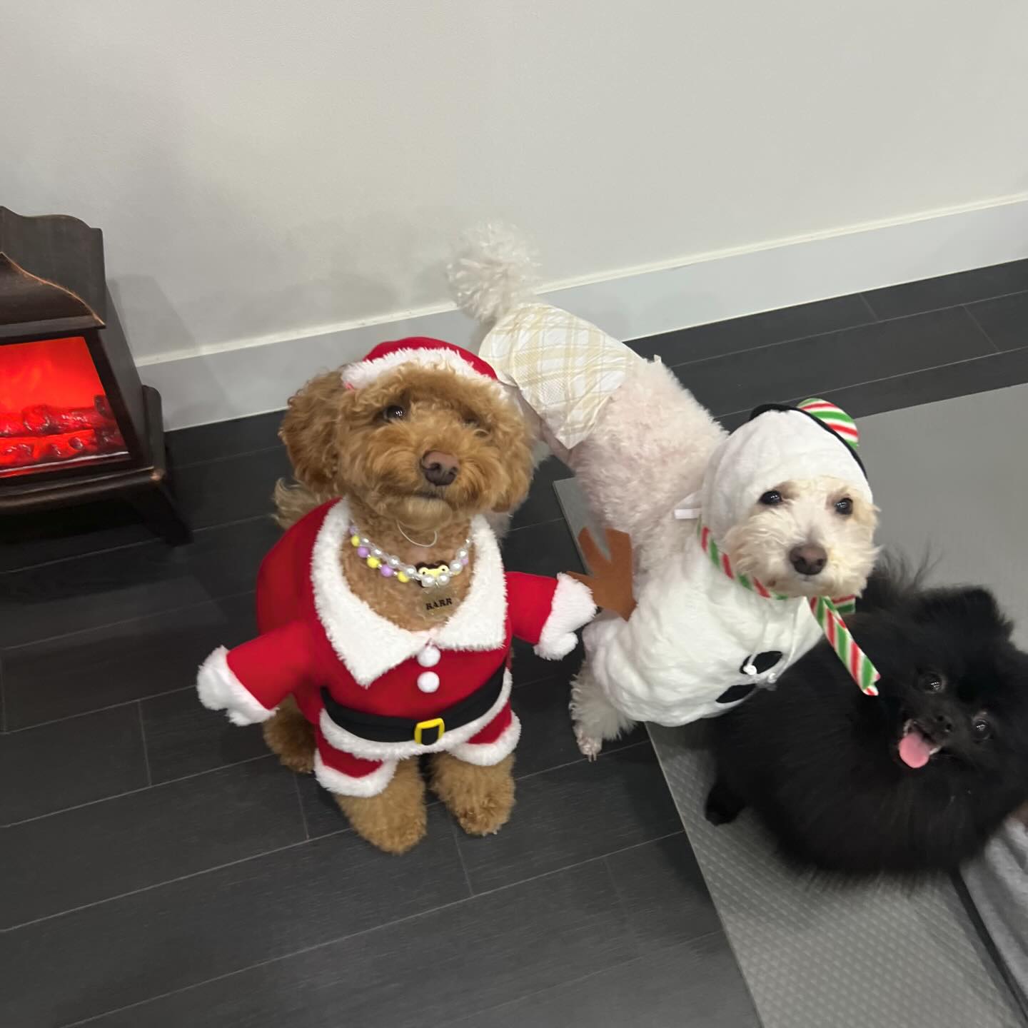 친구들아🎅🏻🎄
모두모두 메리크리스마뚜❤️
바르산타가 착한 멈머에게 선물을 배달해주꼬야😝

두번째 크리뚜마뚜는 친구들이랑 함께해서 진짜루 재밌었오❤️
아직 남은 크리스마스도 더 힘차게 놀아보께😝
그래서 바루는 오늘 친구집에서 외박이얌 헤헤🥰