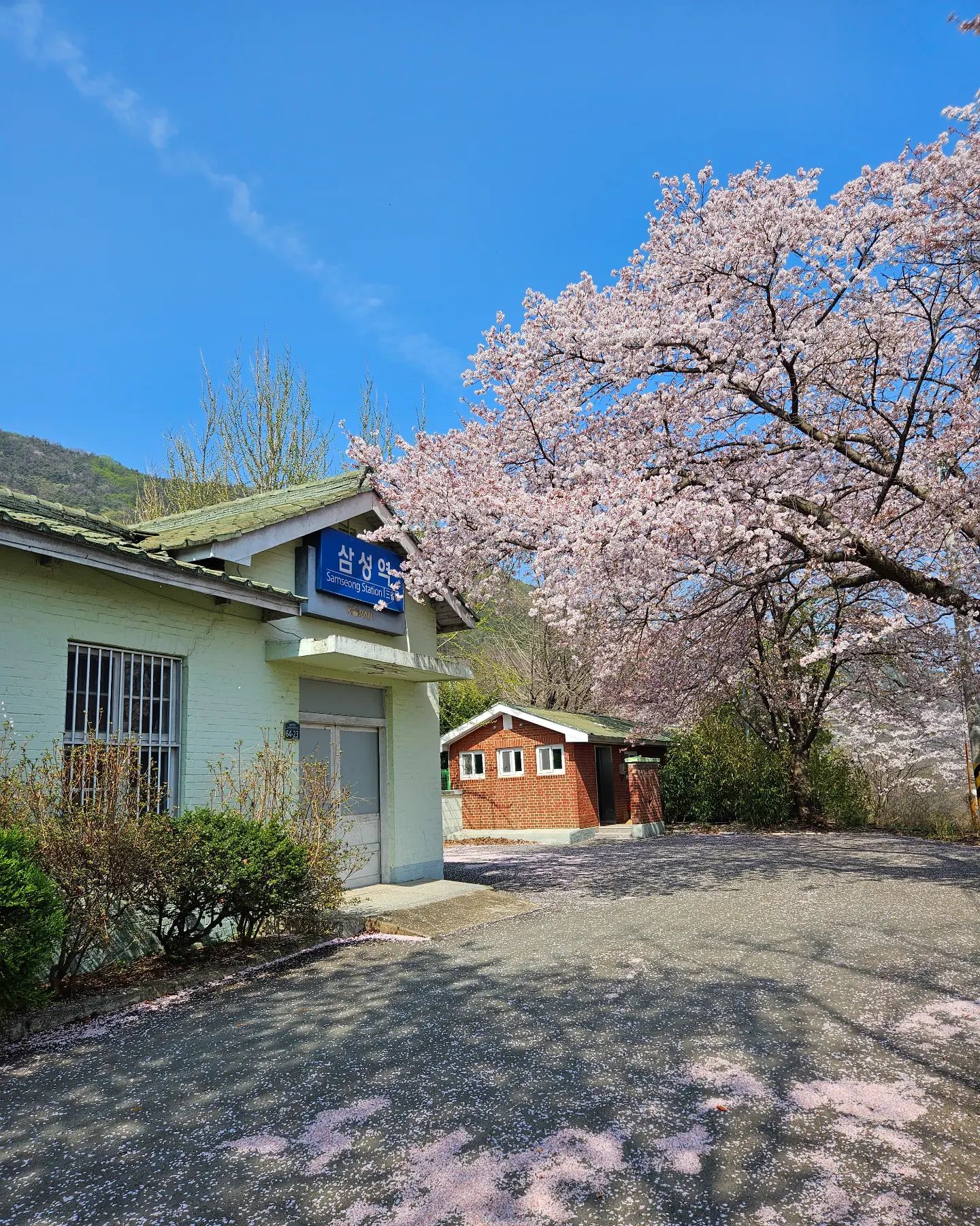 두번째🌸