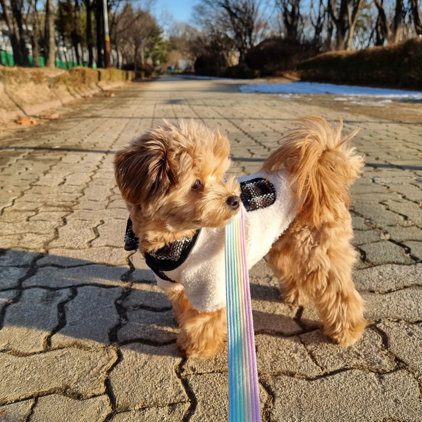 🖤
뒤집어 입어도 이쁜
official_dogestro
리버시블 콧ㅌ

감사합니다🤍🖤