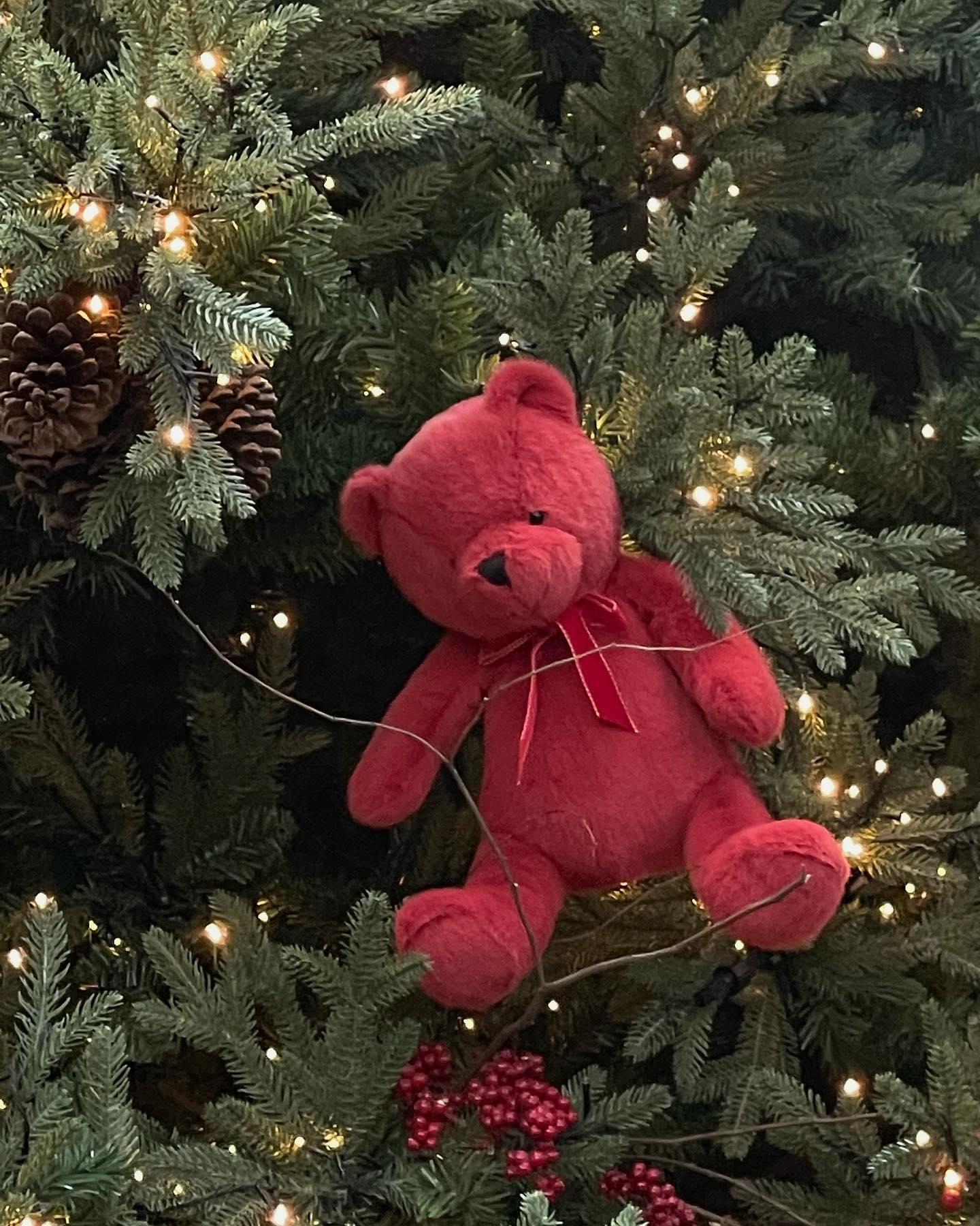 #🧸