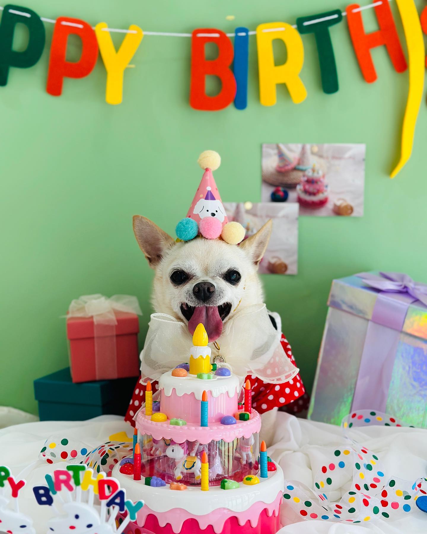 내 천사 우리공주 
생일축하해 ❤️
엄마아빠한테 와줘서 너무 고마워 💛
지금처럼 이쁘고 간강하게 
평생 함께 하자 ❤️❤️❤️