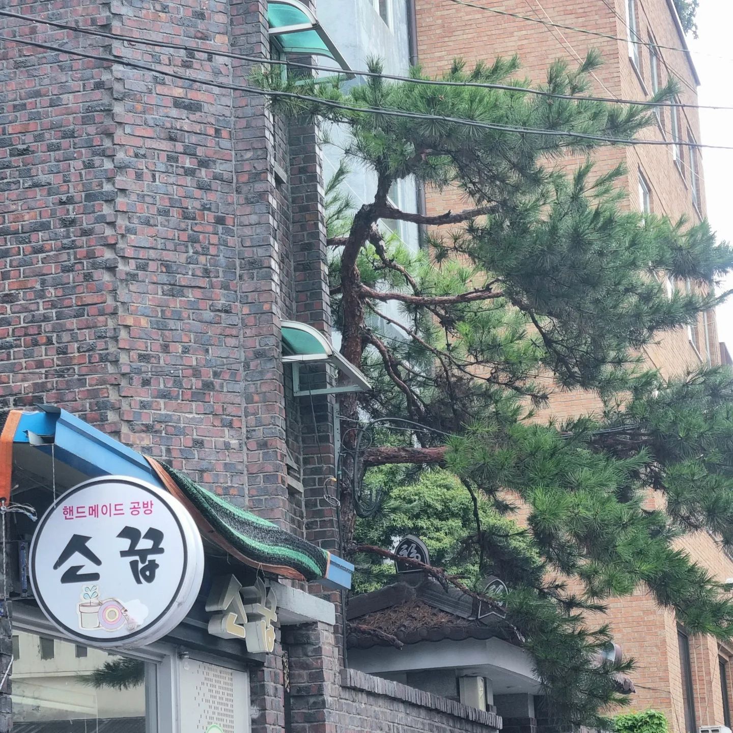 오늘 공방체험 하러 갔다왔어요.
들어가는 순간 많은 그릇과 컵들이 있었어요.
그림도 다 이쁘고 잘 그렸더라고요. 

제가 공방체험 할 건 유리전사 였어요.
유리전사는 색종이전사지 뒷면에 그림을 그려서
판박이 처럼 물을 묻쳐 종이랑 분리시켜 유리컵등에
붙이는 거에요ㅎㅎ저는 와인컵으로 했는데요.
원래 하고 싶었던 캐릭터들은 못했지만 그래도 귀여운
캐릭터를 찾아서 했어요. 그리고 혹시나
저처럼 그림 못 그리는데~ ㅠㅠ
하는분들은 걱정 안하셔도 될거같아요. 
핸드폰에 유산지 붙이고 그려서 하시면 되거든요~^^
저는 처음에 걱정 했는데 그림을 쉽게 그릴수 있어서
걱정 없이 재미있게 했어요.

어려운 부분은 선생님께서 친절하게 알려주시고,
도와주셔서 재미있게 공방체험 할 수 있었요ㅎㅎㅎ

제가 캐릭터를 손이 많이 가는걸 해서 시간이 부족
해가지고 남은 꾸미기를 못해서 아쉬웠지만 캐릭터가
귀엽게 잘 되서 만족했어요~~ㅎㅎ

제가 완성해서 찍어온 사진은 굽기 전이에요.
굽기전이라 연필가루들이 묻어 있어서 지저분해
보이지만 구우는 과정에서 없어진다고 해요.
그리고 한달뒤에 완성품을 받을 수 있답니다~
