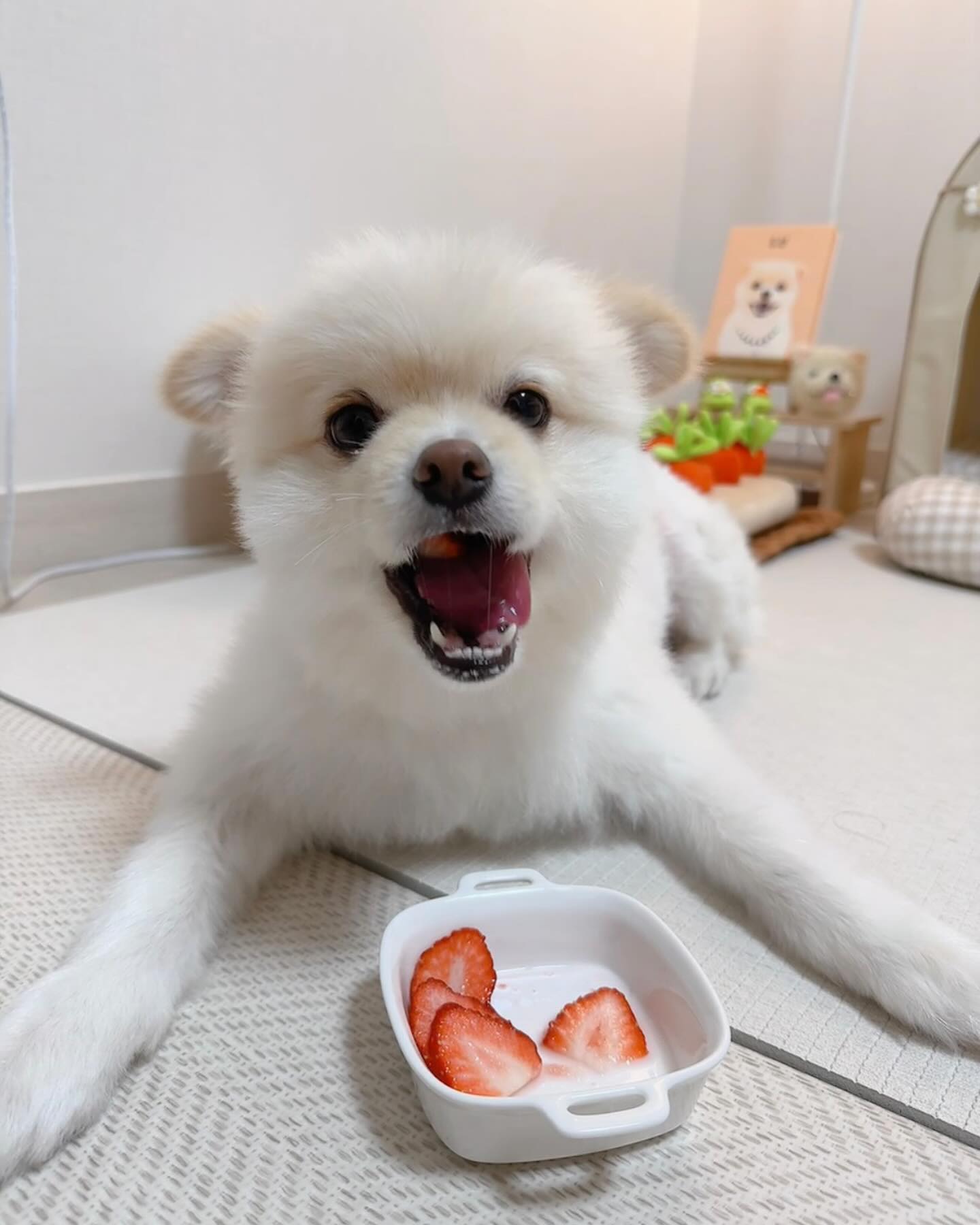 딸기🍓🍓