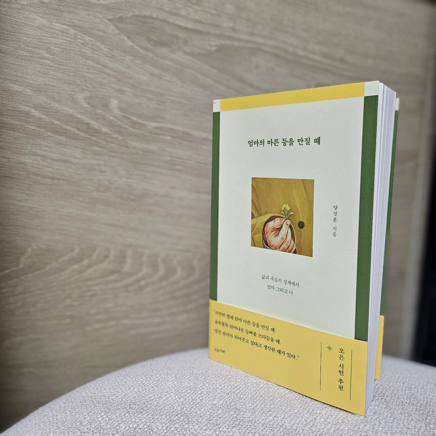 ⁣
웃고 또 웃었다. 우리는 지나며 이 사람 저 사람 험담도 실컷 하고 빵빵 경적을 울리며 달리는 자동차도 맘껏 욕했다. 연예인 흉도 많이 봤다. 무용한 말장난이 봄꽃처럼 첫눈처럼 하루를 덮었다. 무게도 없고 진지할 것도 없고 긴장할 것도 없는 말이라면 뭐든 다 좋았다. 순간순간 도망가 버릴까 두려울 만큼 끝도 없이 좋았다. (P.130)⁣
⁣
무른 손가락으로 또박또박 짚어 마음에 심어준 글자. 이어보니 전부 다 같은 말이었다. 살라는 말이었다. 다시 사랑하고 다시 아프고 다시 헤어지고 또다시 사랑하라는 말 뿐이었다. 지울 길도 물리칠 길도 없었다. 배신할 수 없는 말이었다. (P.301) ⁣
⁣
⁣
벌써 10년쯤 지난 일이다. 내 작은 생명을 품고 있던 시절, 수십 년 전 나를 그렇게 품었을 나의 엄마는 큰 수술을 해야 했다. 수술하러 가는 전날까지 임신한 딸의 냉장고를 가득히 채워준 내 엄마는, 마취약에 취해 엉엉 울며 “우리 엄마 보고 싶어”라고 말을 했다. 그날이었다. 엄마가 한 여자로도 보이기 시작한 게. 이모의 성화에 병원에서 쫓겨나 집으로 가며, 나는 태어나 가장 긴 시간을 울었던 것 같다. 그날 내게 전해진 엄마의 슬픔은 아무래도, 무엇으로도 채울 수 없는 상실감이 아닐까 싶다. 수오서재의 새 책, 『엄마의 마른 등을 만질 때』를 가만히 손에 들었을 때, 꽤 오래 잊고 살던 그 날의 감정들이 떠올랐다. 그래서 나는 책을 펼치기도 전에 좀 많이 울었다. ⁣
⁣
『엄마의 마른 등을 만질 때』는 엄마의 투병 생활에 기록된 이야기들이다. 시작부터 울었고, 읽으면서도 분명 울게 되리라 예상은 했지만, 나는 『엄마의 마른 등을 만질 때』를 읽는 내내 울었다. 이제 점점 “돌이킬 수 없는 어른”이 되어가는 나이임을 실감했고, 순간순간 느끼는 내 부모의 왜소해짐이 서러웠고, 그럼에도 살짝 모자란 딸로 사는 게 당신들에게 힘을 준다는 게 슬펐다. 섬세한 언어와 절절한 감정이 만들어내는 문장은, 타인의 엄마에게서 나의 엄마를 보게 했다. 또 나를 만나게 되기도 했다. 투병으로 엄마의 몸에 난 상처를 절제된 감정으로 기록한 문장에서, 삶에 삶을 잇대었다는 말에서, 엄마는 다시 처음부터 시작해야 한다는 절망에서- 작가와 독자가 아닌, 그저 누군가의 자식들이 되어 공감하고 슬퍼했다. ⁣
⁣
마흔이 되어도 자라지 못한 어리석은 나는 『엄마의 마른 등을 만질 때』의 페이지가 몇 장 남지 않았을 무렵 마음이 초조했다. 차마 이 책의 “결론”을 감당할 자신이 없었다. 그래서 나는 책의 끄트머리를 한참이나 미루어두었다가 읽었다. “사랑하는 이를 결국 떠나보낸 사람들이 일관되게 말하는 게 있다. 우리는 무지하고 사랑할 시간은 많지 않다는 것. 더 귀한 것과 덜 의미 있는 걸 언제나 헷갈렸다고. 한정 없이 사랑하는 이의 등을 쓰다듬을 시간은, 눈을 들여다보고 같이 웃고 울 시간은 생각보다 얼마 남지 않았더라고(P.12)”라고 말하던 그의 문장에서 애써 부정했던 일을 선명하게 느끼며 나는 결심하고 또 결심했다. 지금 더 많이 사랑하자고, 더 귀한 것을 헷갈리지 말자고, 사랑하는 이의 등을 더 많이 쓰다듬고 눈을 들여다보고, 더 많이 같이 웃자고. ⁣
⁣
감히 타인의 가늠할 수 없는 상실을 앞에 두고 나의 시간들을 가늠해봐도 될지 모르겠지만, 그가 자신의 “늦은 시간”들을 이렇게 꺼내놓은 것은 '당신들이라도 늦지 말라고'가 아니었을까 하고 생각해본다. 『엄마의 마른 등을 만질 때』는 감정이 묻어날 것 같은 섬세한 문장으로, 오늘이 얼마나 행복한 순간인지, 얼마나 소중한 나날들인지를 절절히 깨닫게 만든다. 오늘부터라도 엄마에게 '늦는 사람'이 되지 말자고 결심하게 만든다. ⁣