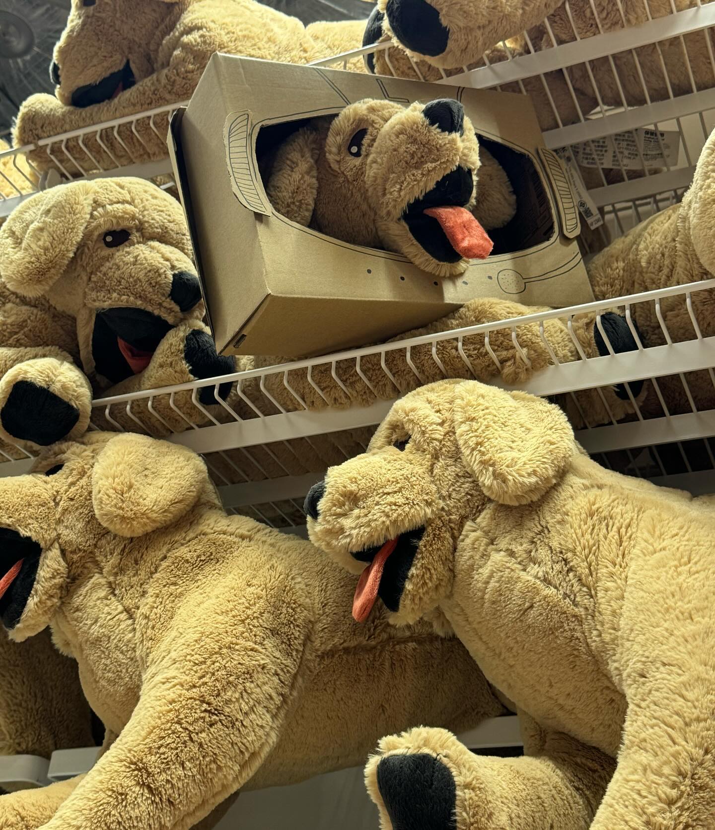 콘텐츠