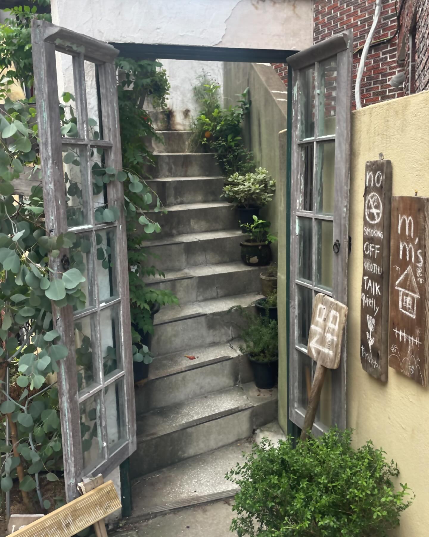 콘텐츠